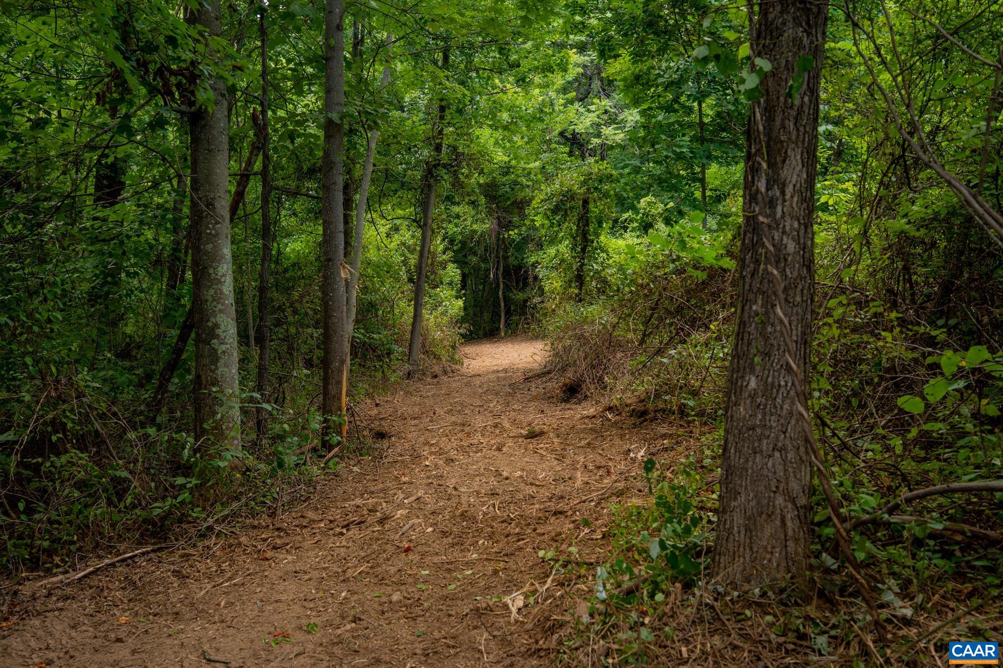TBD N FROG HOLLOW RD, WINCHESTER, Virginia 22603, ,Farm,14,TBD N FROG HOLLOW RD,680385 MLS # 680385 TBD N FROG HOLLOW RD, WINCHESTER, Virginia 22603, ,Farm,14,TBD N FROG HOLLOW RD,680385 MLS # 680385