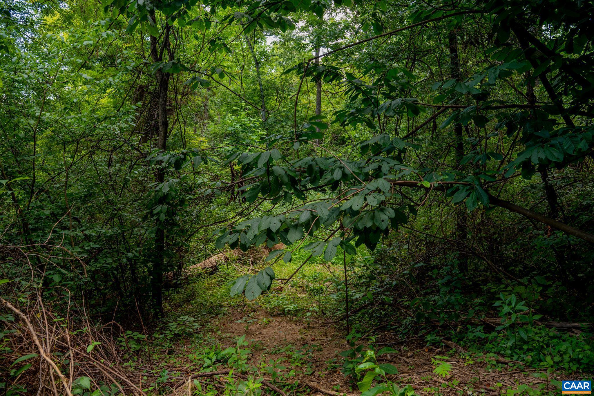 TBD N FROG HOLLOW RD, WINCHESTER, Virginia 22603, ,Farm,14,TBD N FROG HOLLOW RD,680385 MLS # 680385 TBD N FROG HOLLOW RD, WINCHESTER, Virginia 22603, ,Farm,14,TBD N FROG HOLLOW RD,680385 MLS # 680385