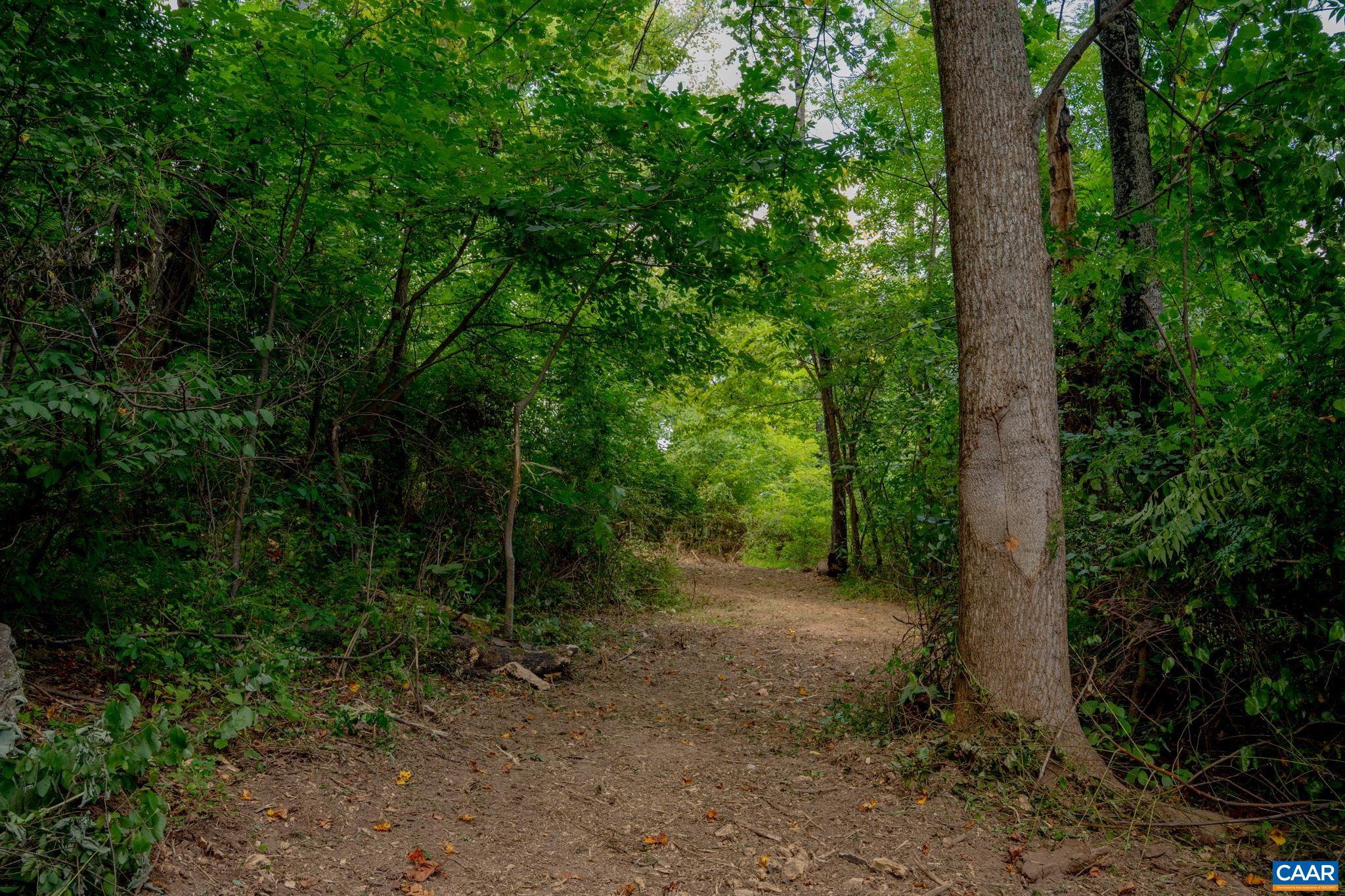 TBD N FROG HOLLOW RD, WINCHESTER, Virginia 22603, ,Farm,14,TBD N FROG HOLLOW RD,680385 MLS # 680385 TBD N FROG HOLLOW RD, WINCHESTER, Virginia 22603, ,Farm,14,TBD N FROG HOLLOW RD,680385 MLS # 680385