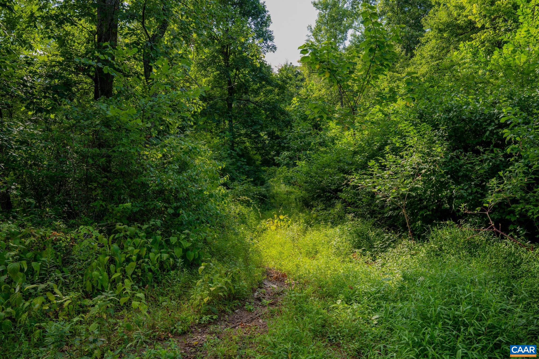 TBD N FROG HOLLOW RD, WINCHESTER, Virginia 22603, ,Farm,14,TBD N FROG HOLLOW RD,680385 MLS # 680385 TBD N FROG HOLLOW RD, WINCHESTER, Virginia 22603, ,Farm,14,TBD N FROG HOLLOW RD,680385 MLS # 680385