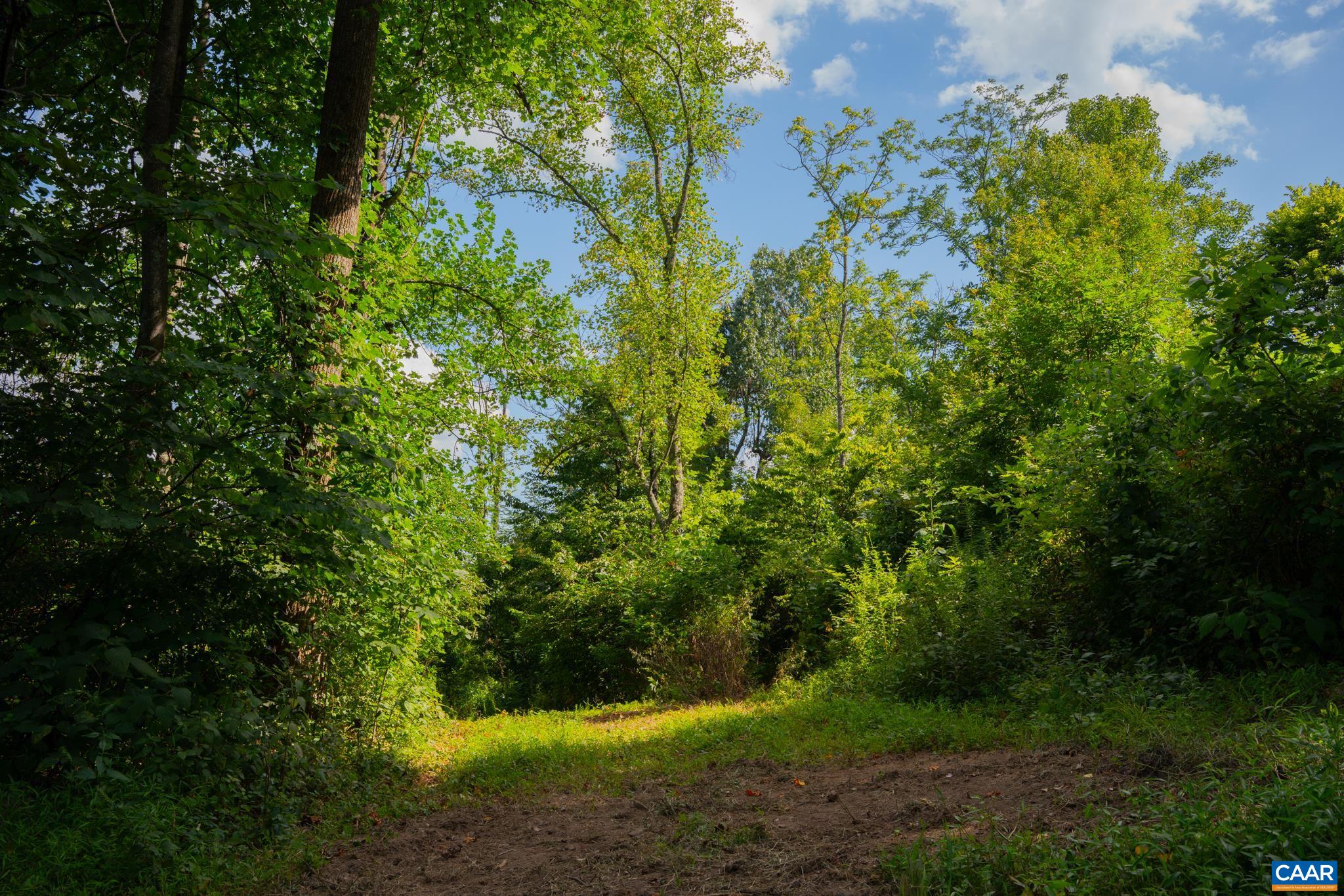 TBD N FROG HOLLOW RD, WINCHESTER, Virginia 22603, ,Farm,14,TBD N FROG HOLLOW RD,680385 MLS # 680385 TBD N FROG HOLLOW RD, WINCHESTER, Virginia 22603, ,Farm,14,TBD N FROG HOLLOW RD,680385 MLS # 680385