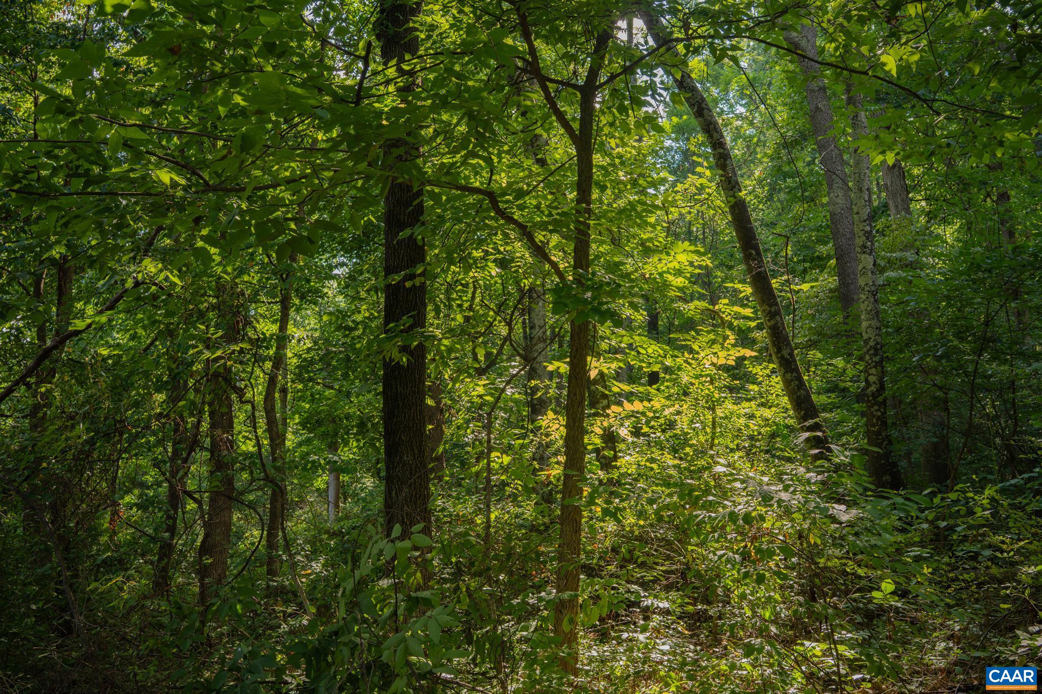 TBD N FROG HOLLOW RD, WINCHESTER, Virginia 22603, ,Farm,14,TBD N FROG HOLLOW RD,680385 MLS # 680385 TBD N FROG HOLLOW RD, WINCHESTER, Virginia 22603, ,Farm,14,TBD N FROG HOLLOW RD,680385 MLS # 680385