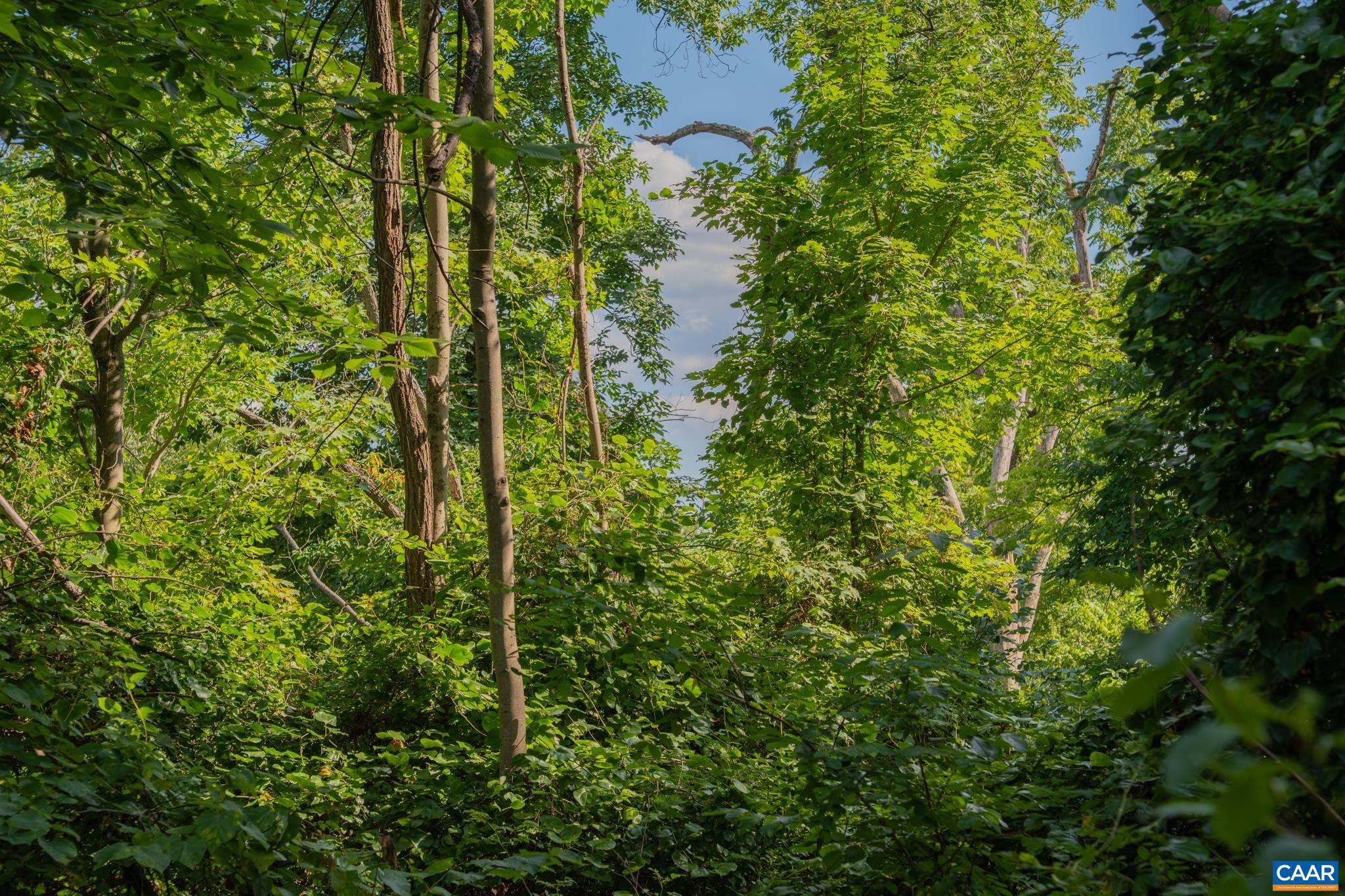TBD N FROG HOLLOW RD, WINCHESTER, Virginia 22603, ,Farm,14,TBD N FROG HOLLOW RD,680385 MLS # 680385 TBD N FROG HOLLOW RD, WINCHESTER, Virginia 22603, ,Farm,14,TBD N FROG HOLLOW RD,680385 MLS # 680385