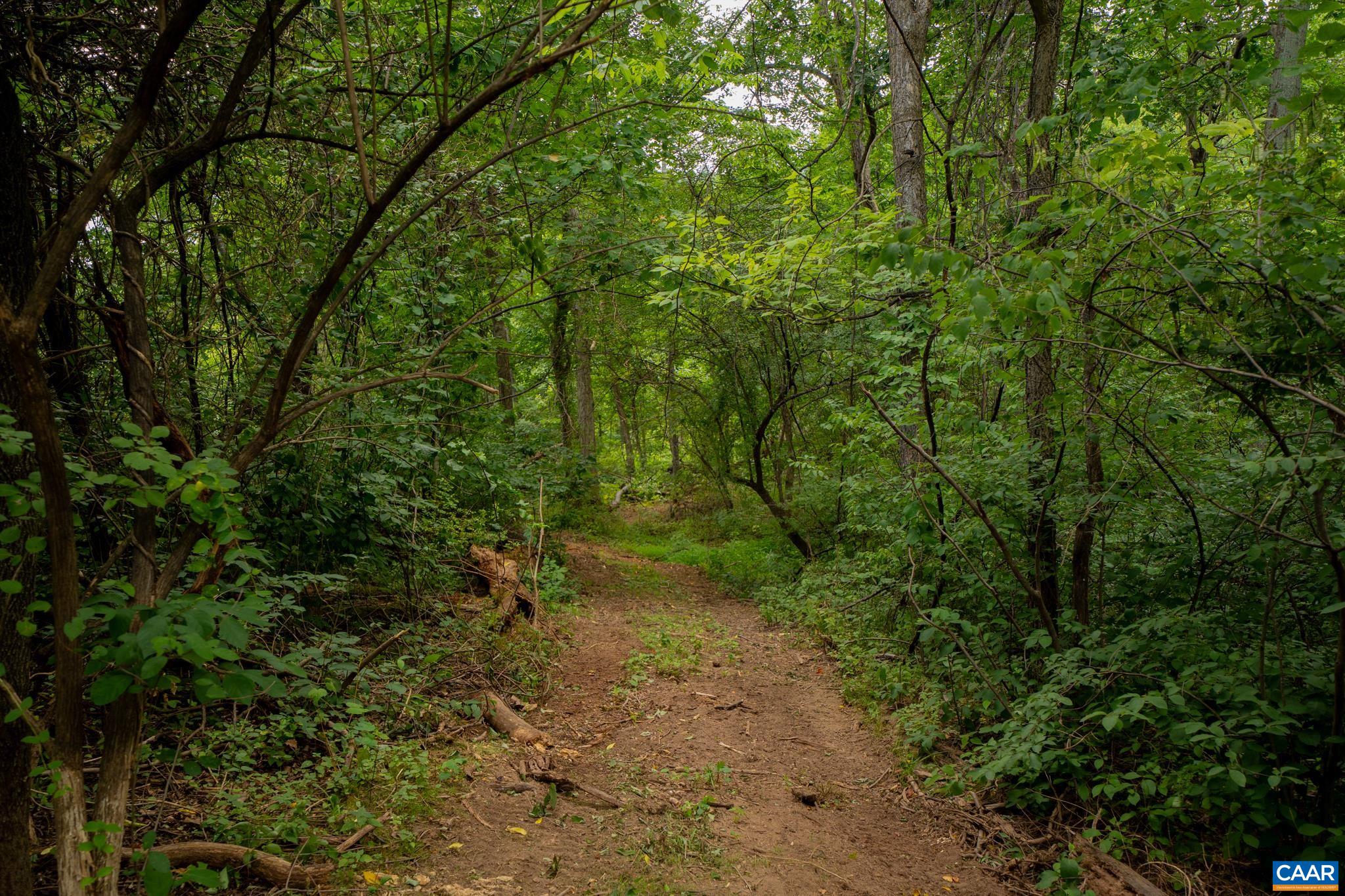 TBD N FROG HOLLOW RD, WINCHESTER, Virginia 22603, ,Farm,14,TBD N FROG HOLLOW RD,680385 MLS # 680385 TBD N FROG HOLLOW RD, WINCHESTER, Virginia 22603, ,Farm,14,TBD N FROG HOLLOW RD,680385 MLS # 680385