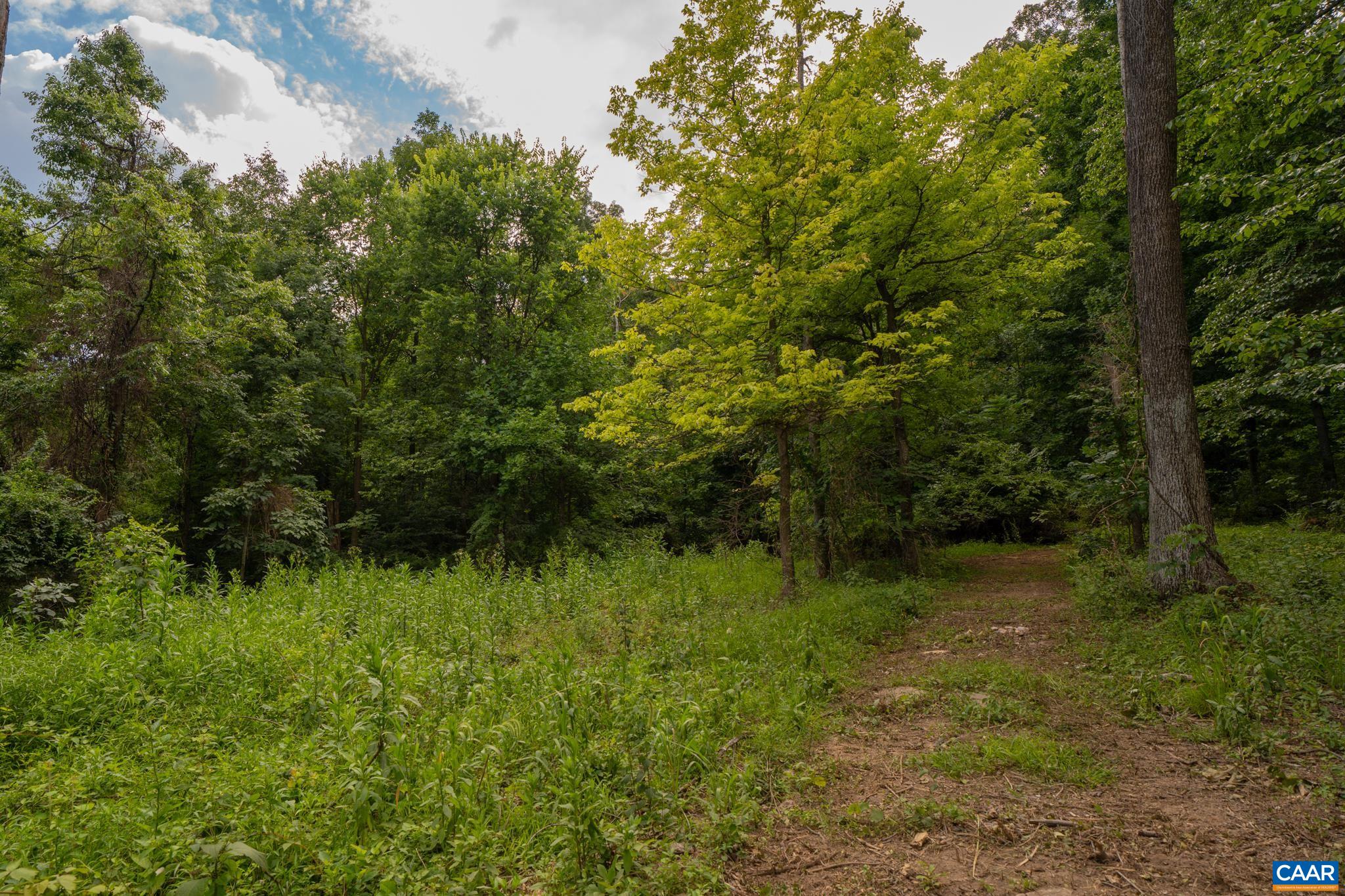 TBD N FROG HOLLOW RD, WINCHESTER, Virginia 22603, ,Farm,14,TBD N FROG HOLLOW RD,680385 MLS # 680385 TBD N FROG HOLLOW RD, WINCHESTER, Virginia 22603, ,Farm,14,TBD N FROG HOLLOW RD,680385 MLS # 680385