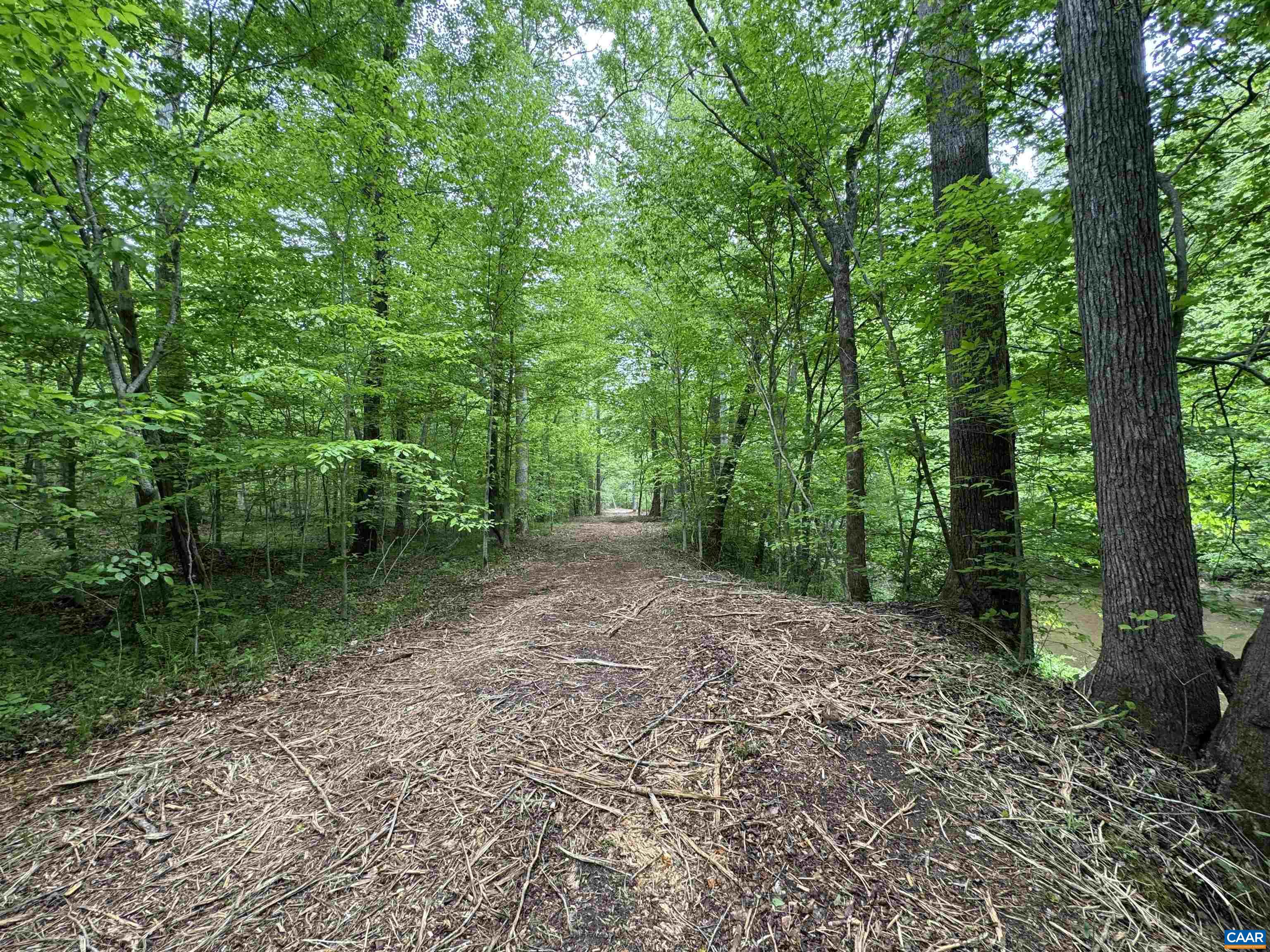 HOLLYWOOD RD, APPOMATTOX, Virginia 24522, ,Farm,14,HOLLYWOOD RD,677173 MLS # 677173 HOLLYWOOD RD, APPOMATTOX, Virginia 24522, ,Farm,14,HOLLYWOOD RD,677173 MLS # 677173