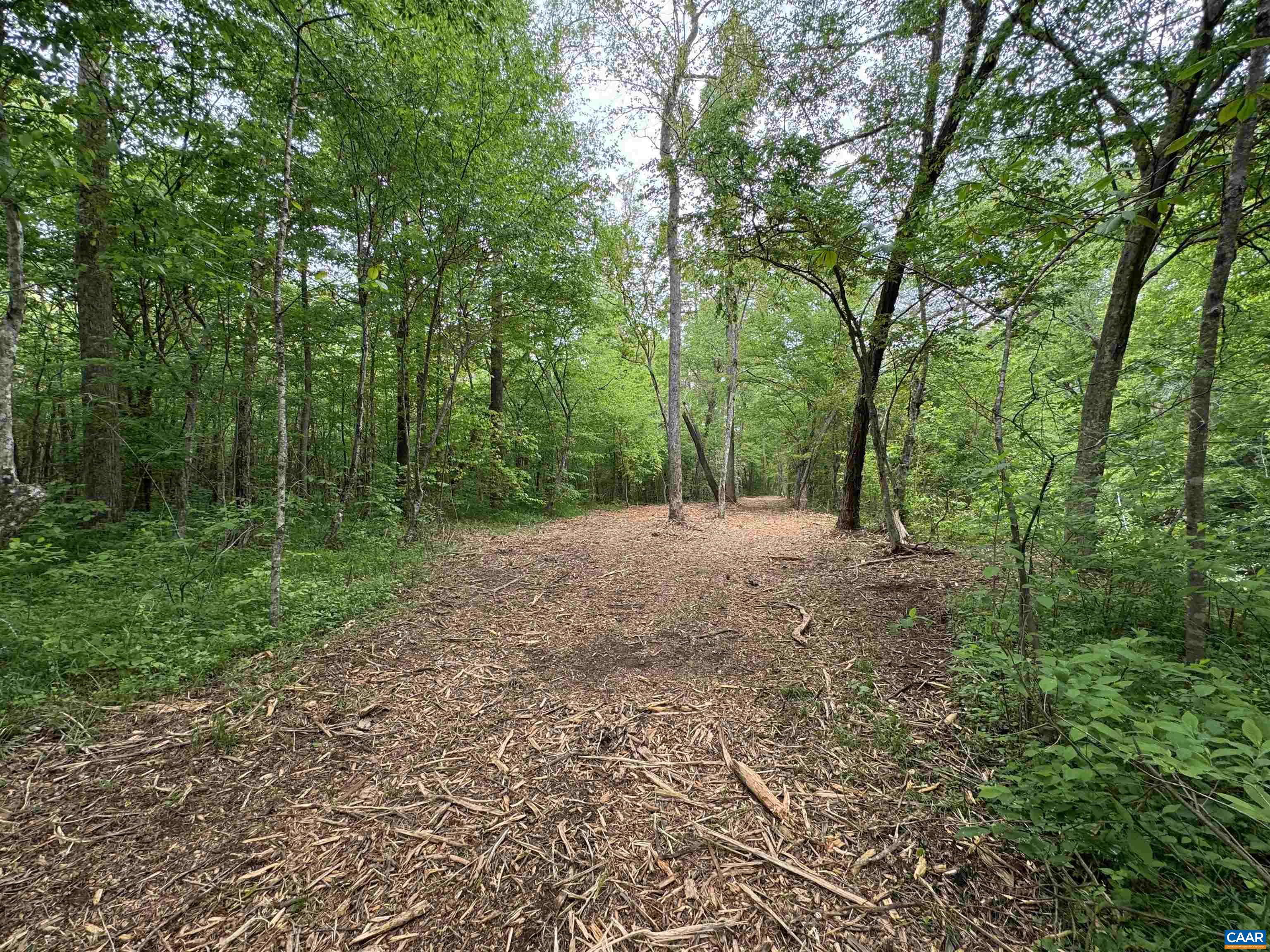 HOLLYWOOD RD, APPOMATTOX, Virginia 24522, ,Farm,14,HOLLYWOOD RD,677173 MLS # 677173 HOLLYWOOD RD, APPOMATTOX, Virginia 24522, ,Farm,14,HOLLYWOOD RD,677173 MLS # 677173