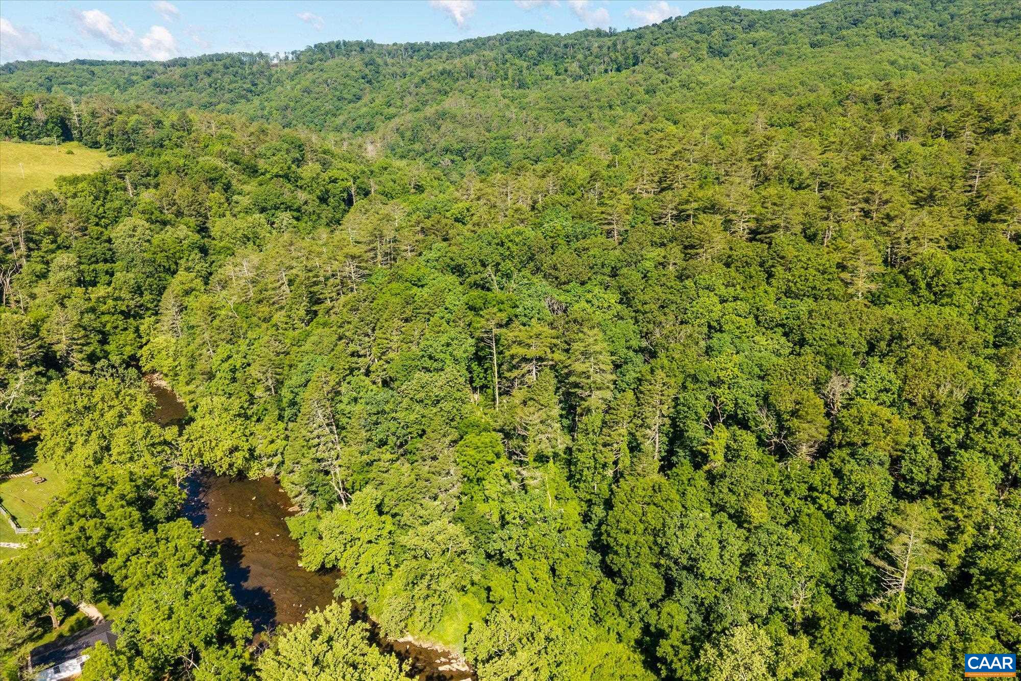 7449 RICHARDSON GORGE RD, HOT SPRINGS, Virginia 24445, 8 Bedrooms Bedrooms, ,7 BathroomsBathrooms,Residential,14,7449 RICHARDSON GORGE RD,678608 MLS # 678608 7449 RICHARDSON GORGE RD, HOT SPRINGS, Virginia 24445, 8 Bedrooms Bedrooms, ,7 BathroomsBathrooms,Residential,14,7449 RICHARDSON GORGE RD,678608 MLS # 678608