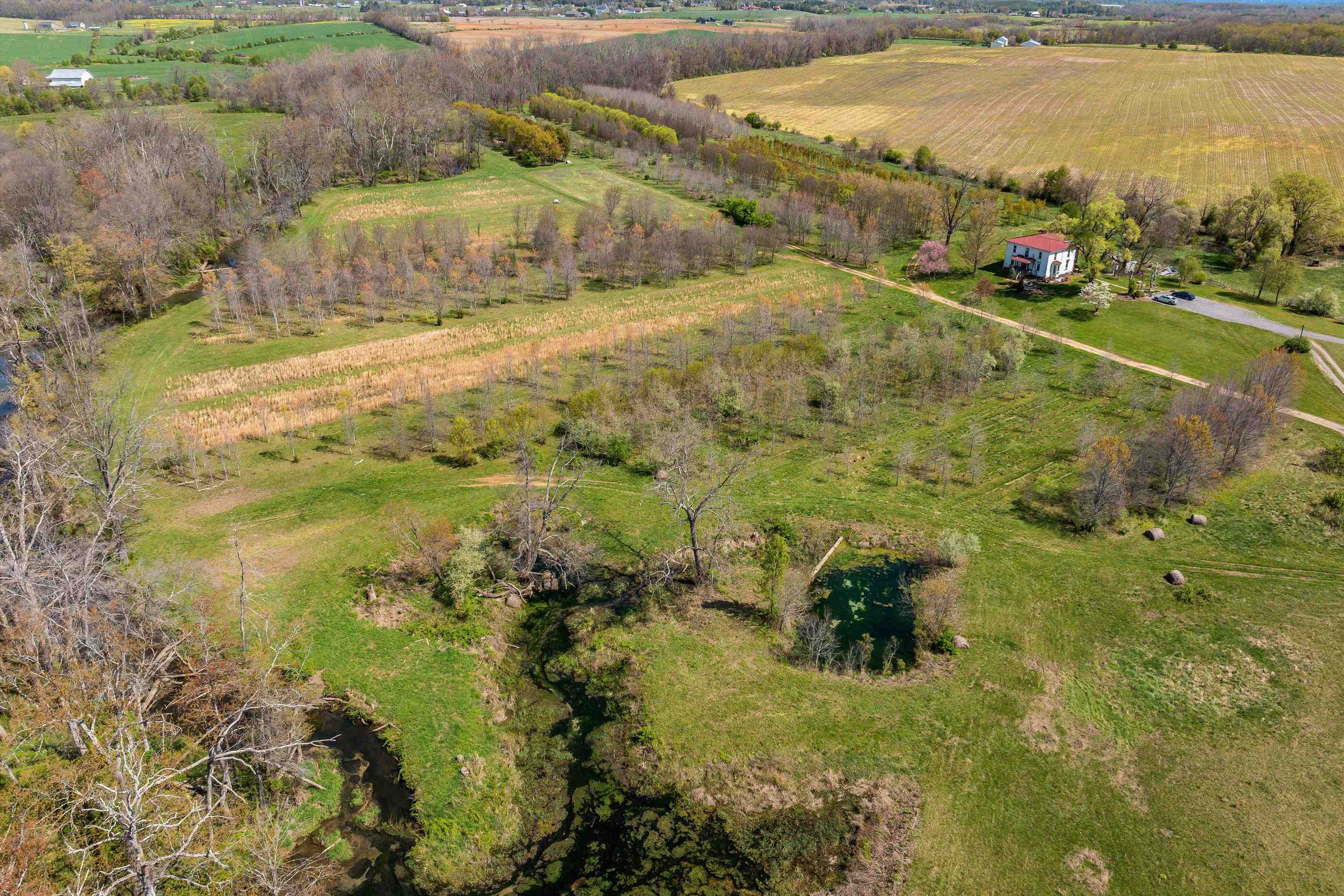 514 LIPSCOMB RD, STUARTS DRAFT, Virginia 24477, 10 Bedrooms Bedrooms, ,4 BathroomsBathrooms,Residential,14,514 LIPSCOMB RD,672921 MLS # 672921 514 LIPSCOMB RD, STUARTS DRAFT, Virginia 24477, 10 Bedrooms Bedrooms, ,4 BathroomsBathrooms,Residential,14,514 LIPSCOMB RD,672921 MLS # 672921