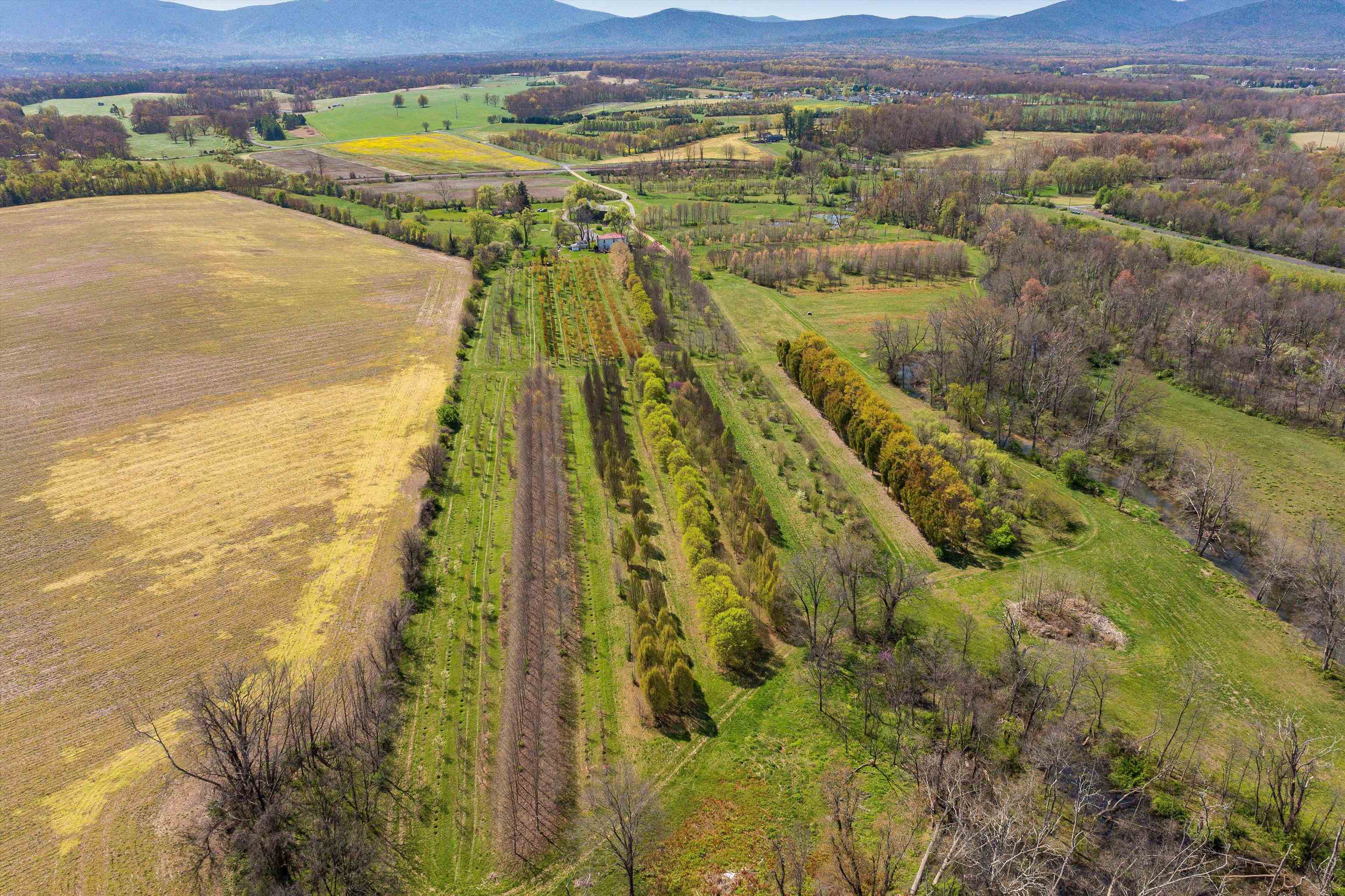 514 LIPSCOMB RD, STUARTS DRAFT, Virginia 24477, 10 Bedrooms Bedrooms, ,4 BathroomsBathrooms,Residential,14,514 LIPSCOMB RD,672921 MLS # 672921 514 LIPSCOMB RD, STUARTS DRAFT, Virginia 24477, 10 Bedrooms Bedrooms, ,4 BathroomsBathrooms,Residential,14,514 LIPSCOMB RD,672921 MLS # 672921