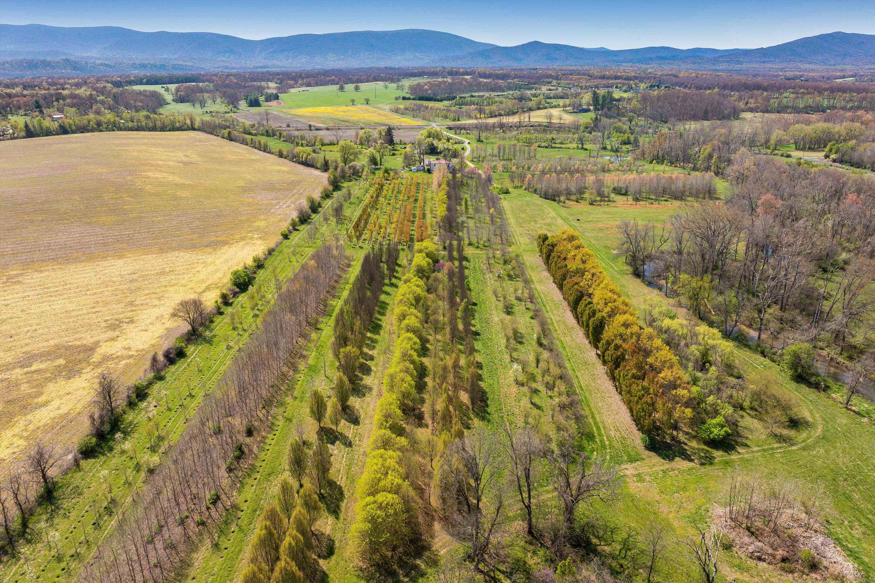 514 LIPSCOMB RD, STUARTS DRAFT, Virginia 24477, 10 Bedrooms Bedrooms, ,4 BathroomsBathrooms,Residential,14,514 LIPSCOMB RD,672921 MLS # 672921 514 LIPSCOMB RD, STUARTS DRAFT, Virginia 24477, 10 Bedrooms Bedrooms, ,4 BathroomsBathrooms,Residential,14,514 LIPSCOMB RD,672921 MLS # 672921