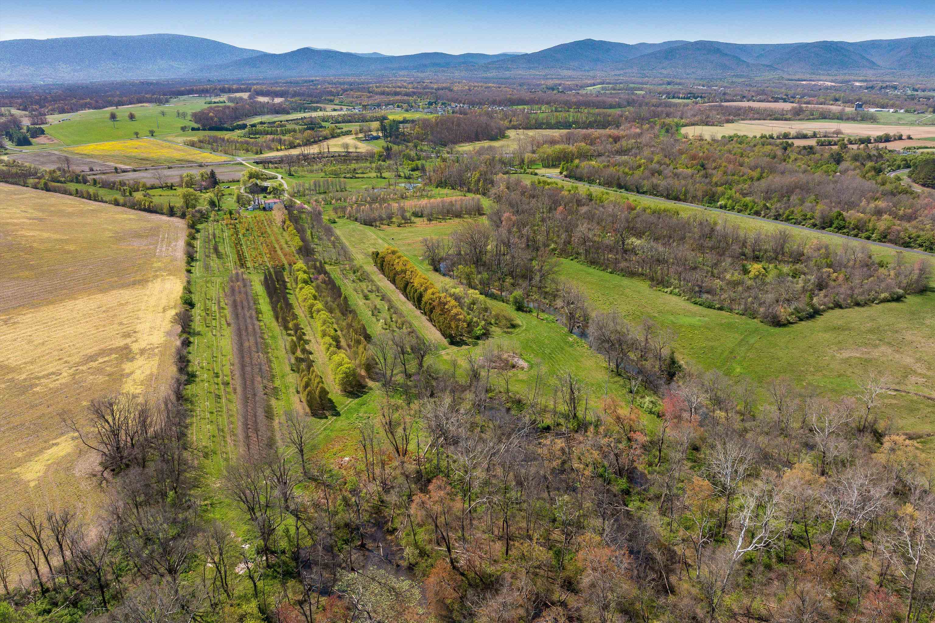 514 LIPSCOMB RD, STUARTS DRAFT, Virginia 24477, 10 Bedrooms Bedrooms, ,4 BathroomsBathrooms,Residential,14,514 LIPSCOMB RD,672921 MLS # 672921 514 LIPSCOMB RD, STUARTS DRAFT, Virginia 24477, 10 Bedrooms Bedrooms, ,4 BathroomsBathrooms,Residential,14,514 LIPSCOMB RD,672921 MLS # 672921