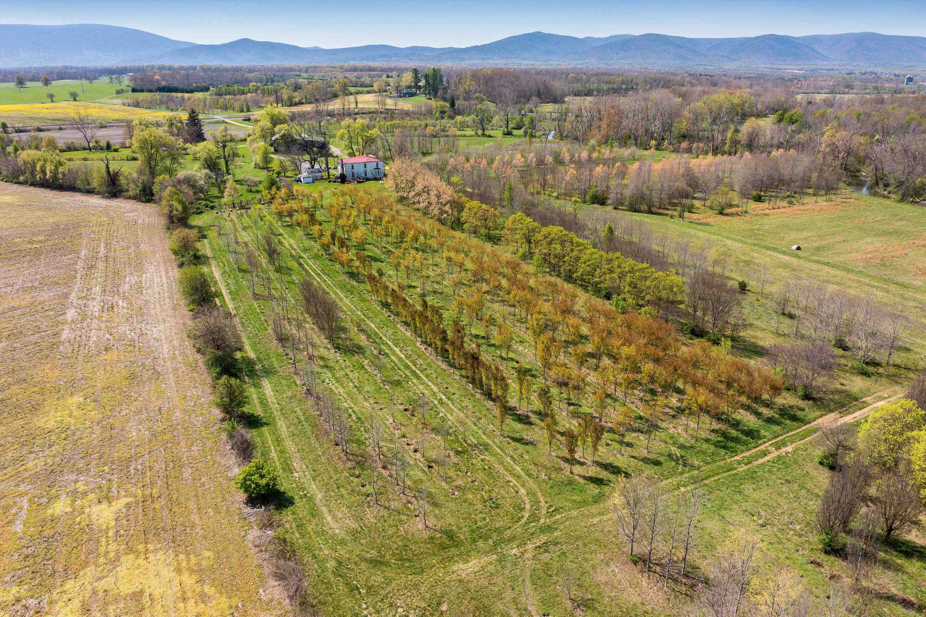 514 LIPSCOMB RD, STUARTS DRAFT, Virginia 24477, 10 Bedrooms Bedrooms, ,4 BathroomsBathrooms,Residential,14,514 LIPSCOMB RD,672921 MLS # 672921 514 LIPSCOMB RD, STUARTS DRAFT, Virginia 24477, 10 Bedrooms Bedrooms, ,4 BathroomsBathrooms,Residential,14,514 LIPSCOMB RD,672921 MLS # 672921
