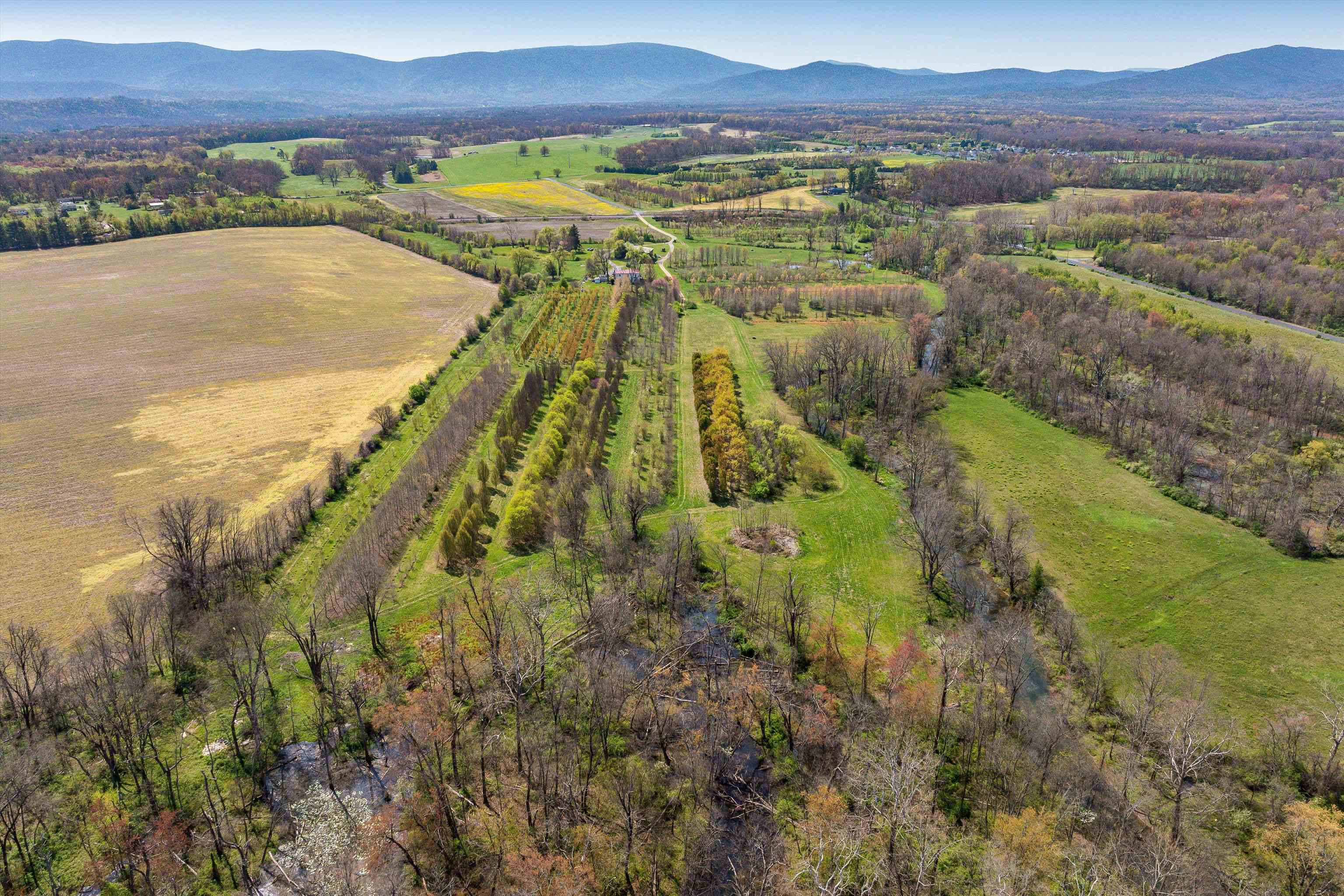 514 LIPSCOMB RD, STUARTS DRAFT, Virginia 24477, 10 Bedrooms Bedrooms, ,4 BathroomsBathrooms,Residential,14,514 LIPSCOMB RD,672921 MLS # 672921 514 LIPSCOMB RD, STUARTS DRAFT, Virginia 24477, 10 Bedrooms Bedrooms, ,4 BathroomsBathrooms,Residential,14,514 LIPSCOMB RD,672921 MLS # 672921