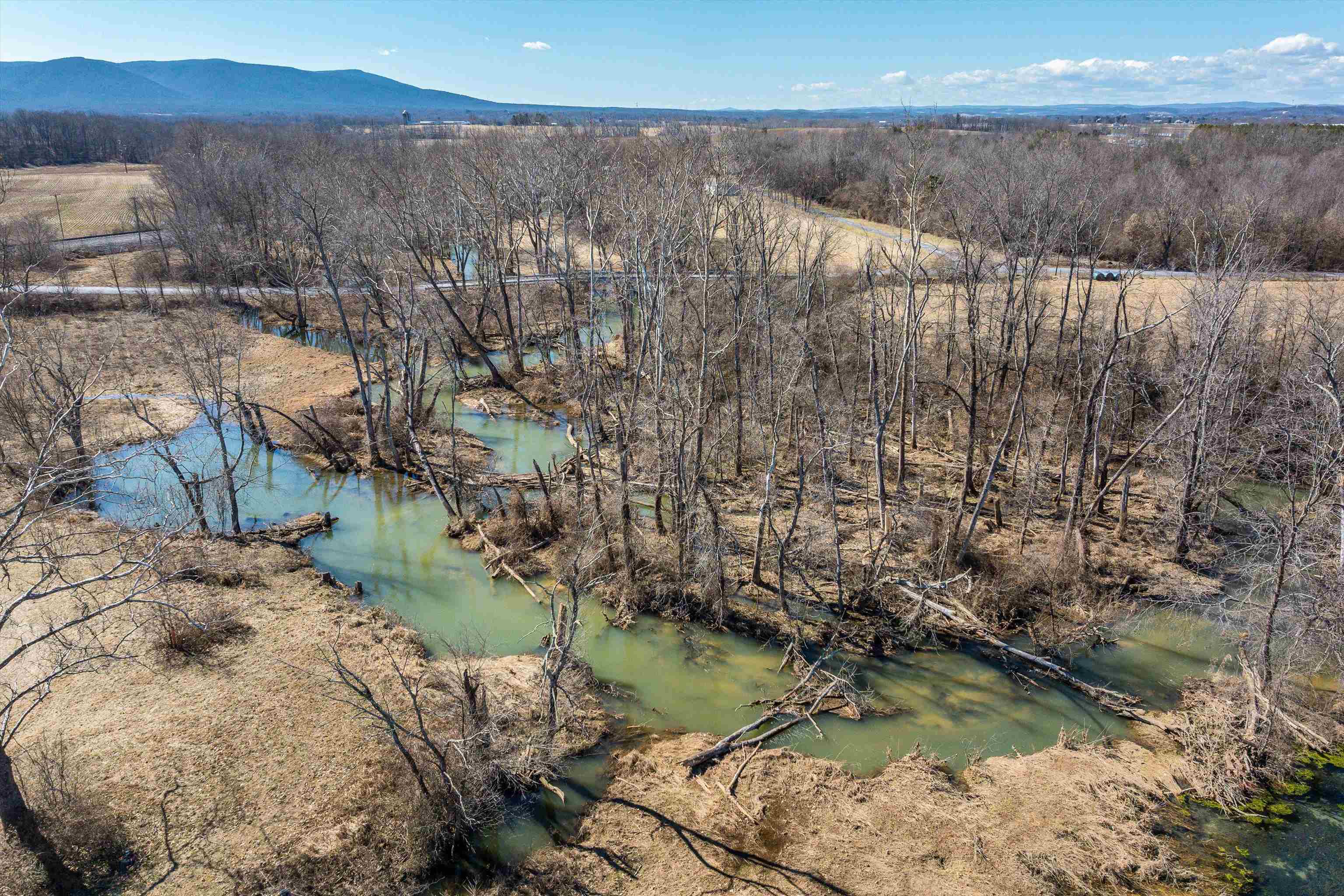 514 LIPSCOMB RD, STUARTS DRAFT, Virginia 24477, 10 Bedrooms Bedrooms, ,4 BathroomsBathrooms,Residential,14,514 LIPSCOMB RD,672921 MLS # 672921 514 LIPSCOMB RD, STUARTS DRAFT, Virginia 24477, 10 Bedrooms Bedrooms, ,4 BathroomsBathrooms,Residential,14,514 LIPSCOMB RD,672921 MLS # 672921