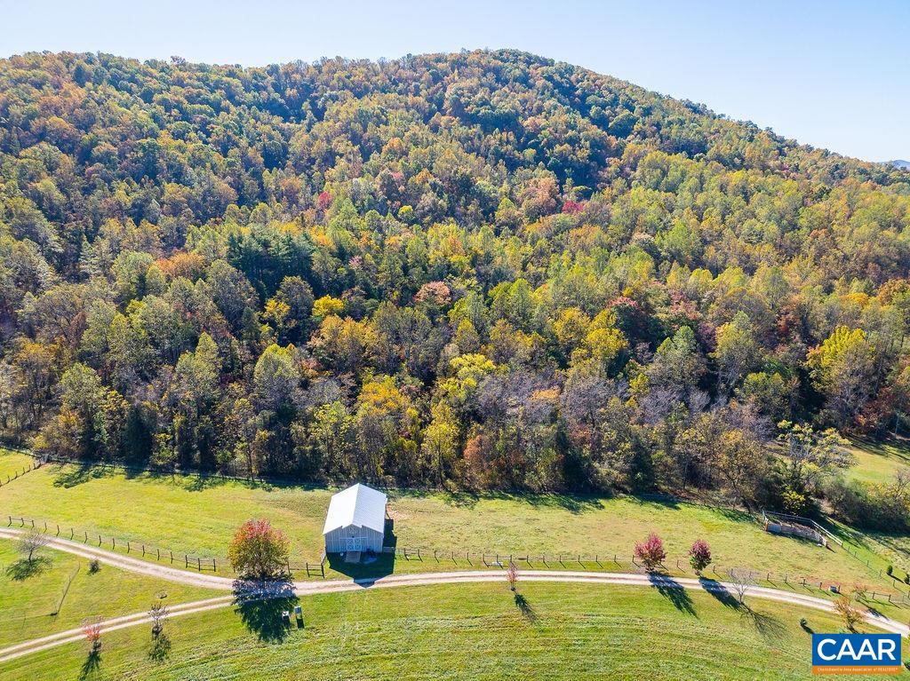 10808 PATRICK HENRY HWY, ROSELAND, Virginia 22967, ,Land,14,10808 PATRICK HENRY HWY,680399 MLS # 680399