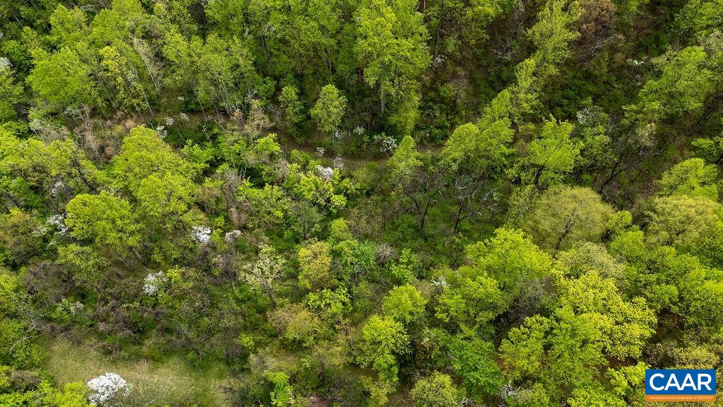 10808 PATRICK HENRY HWY, ROSELAND, Virginia 22967, ,Land,14,10808 PATRICK HENRY HWY,680399 MLS # 680399