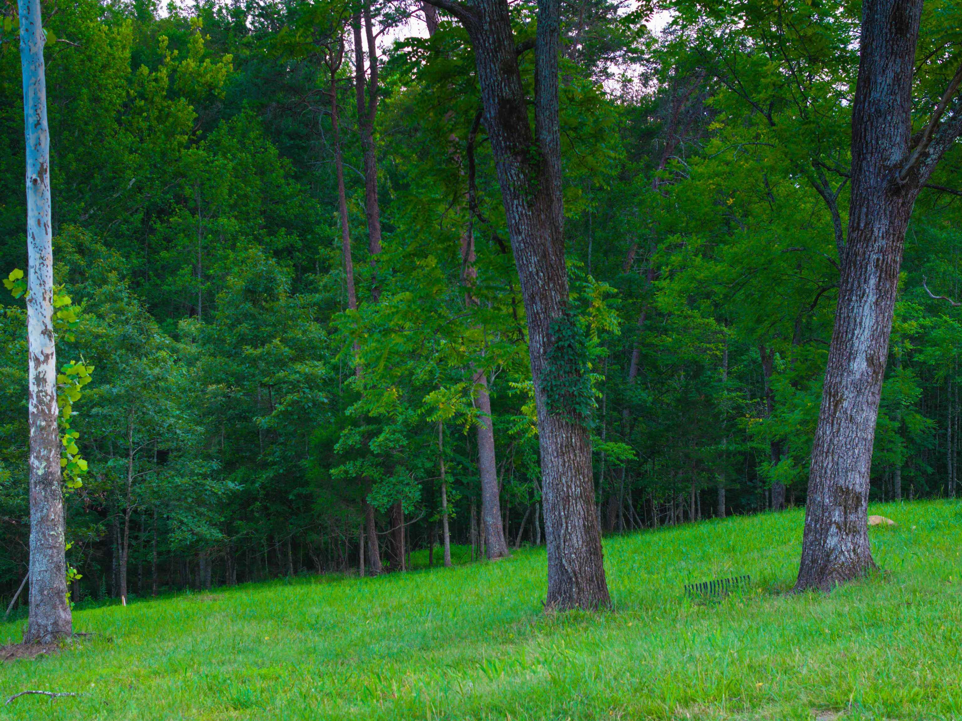 Lot 6 GILBERT STATION RD, BARBOURSVILLE, Virginia 22923, ,Land,14,Lot 6 GILBERT STATION RD,680432 MLS # 680432 Lot 6 GILBERT STATION RD, BARBOURSVILLE, Virginia 22923, ,Land,14,Lot 6 GILBERT STATION RD,680432 MLS # 680432