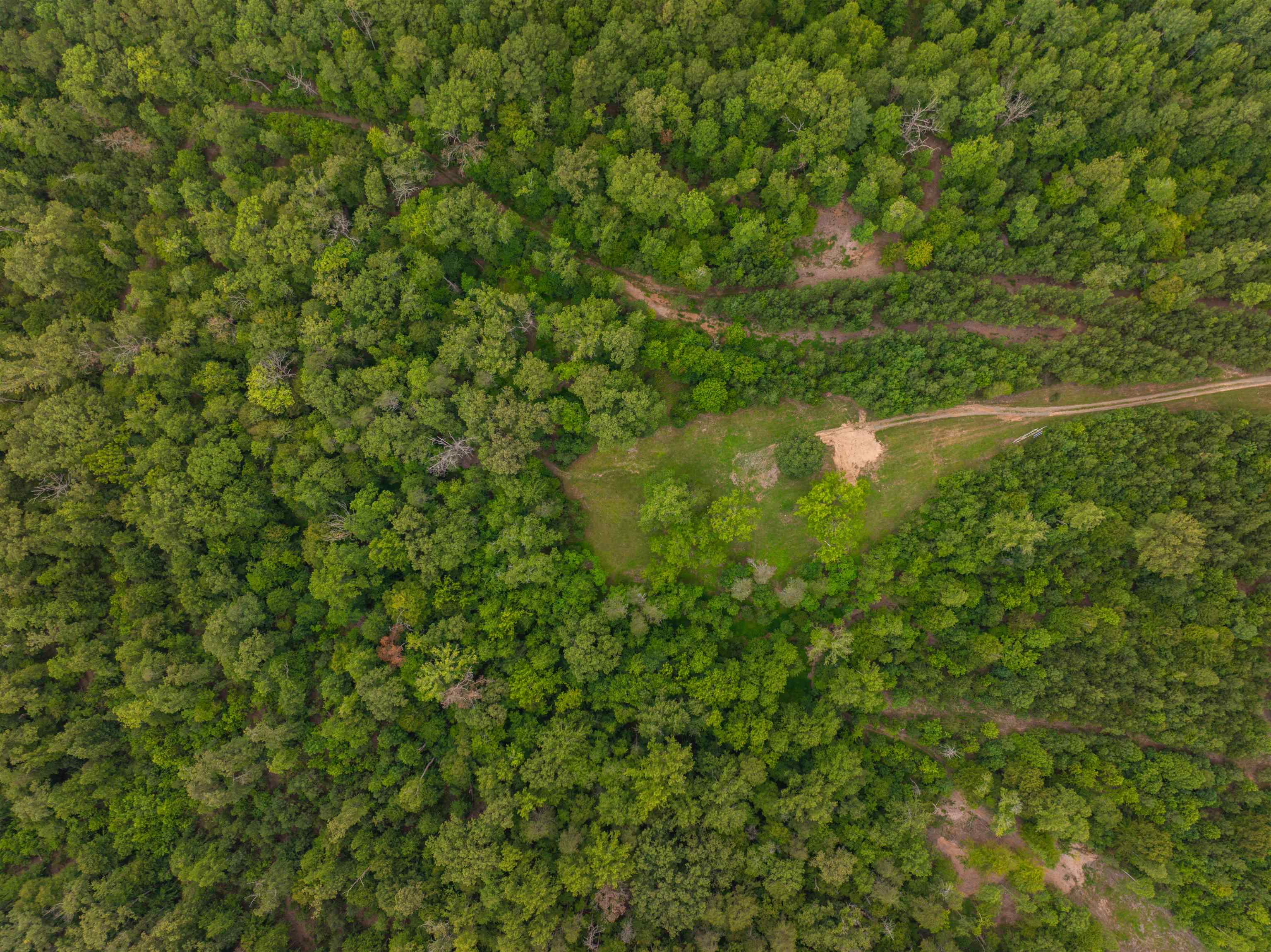 Lot 6 GILBERT STATION RD, BARBOURSVILLE, Virginia 22923, ,Land,14,Lot 6 GILBERT STATION RD,680432 MLS # 680432 Lot 6 GILBERT STATION RD, BARBOURSVILLE, Virginia 22923, ,Land,14,Lot 6 GILBERT STATION RD,680432 MLS # 680432