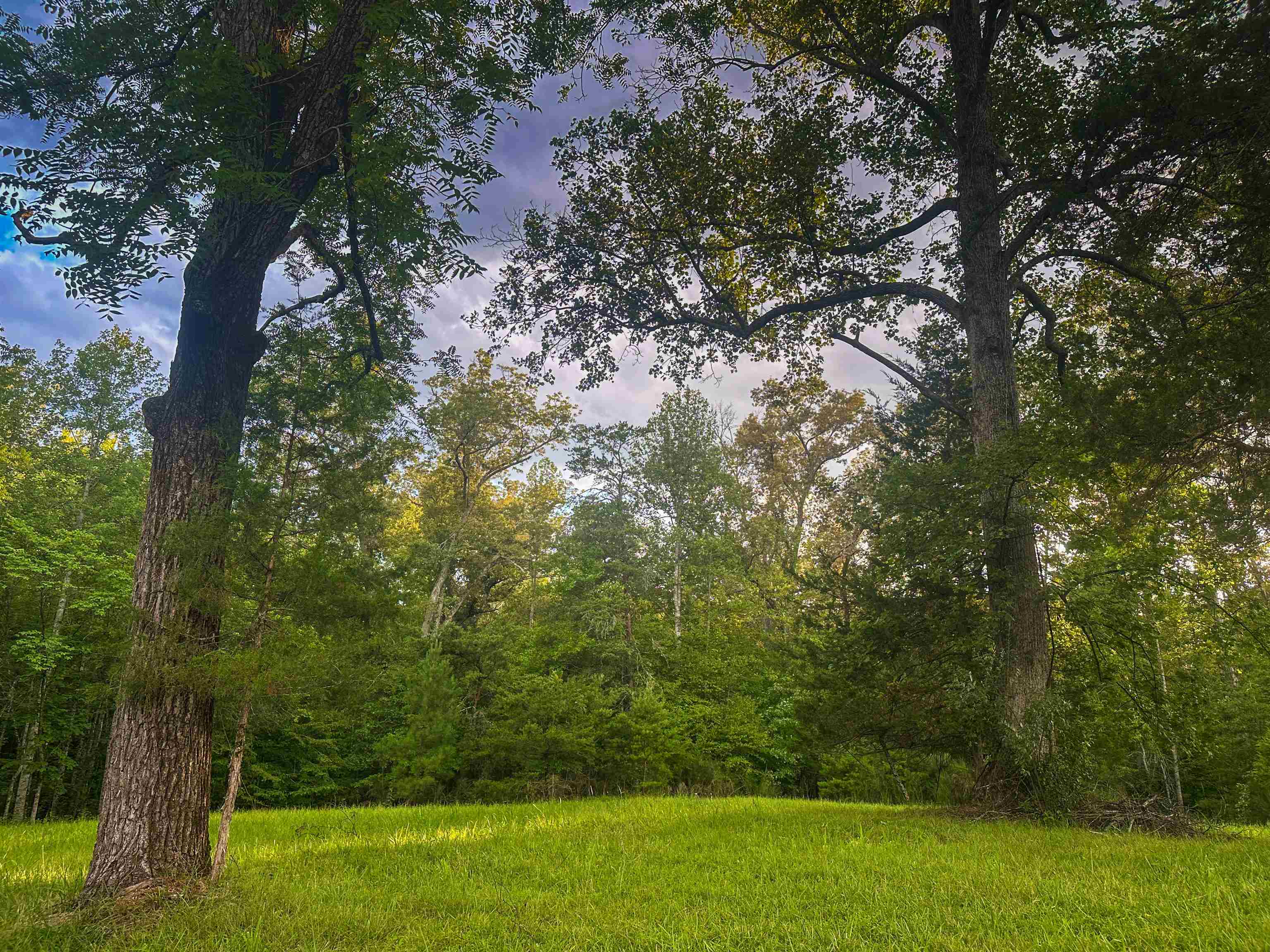 Lot 6 GILBERT STATION RD, BARBOURSVILLE, Virginia 22923, ,Land,14,Lot 6 GILBERT STATION RD,680432 MLS # 680432 Lot 6 GILBERT STATION RD, BARBOURSVILLE, Virginia 22923, ,Land,14,Lot 6 GILBERT STATION RD,680432 MLS # 680432