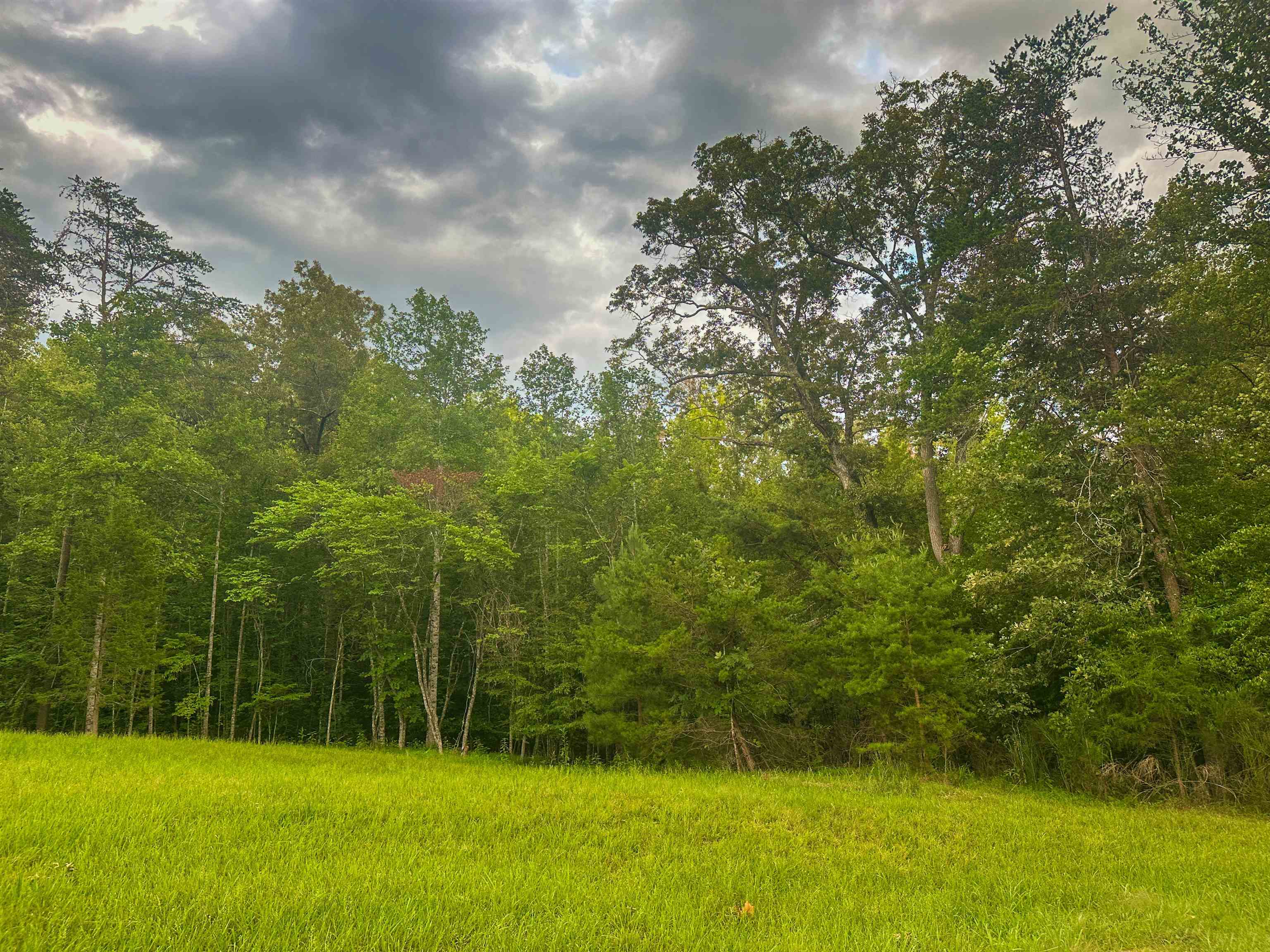 Lot 6 GILBERT STATION RD, BARBOURSVILLE, Virginia 22923, ,Land,14,Lot 6 GILBERT STATION RD,680432 MLS # 680432 Lot 6 GILBERT STATION RD, BARBOURSVILLE, Virginia 22923, ,Land,14,Lot 6 GILBERT STATION RD,680432 MLS # 680432