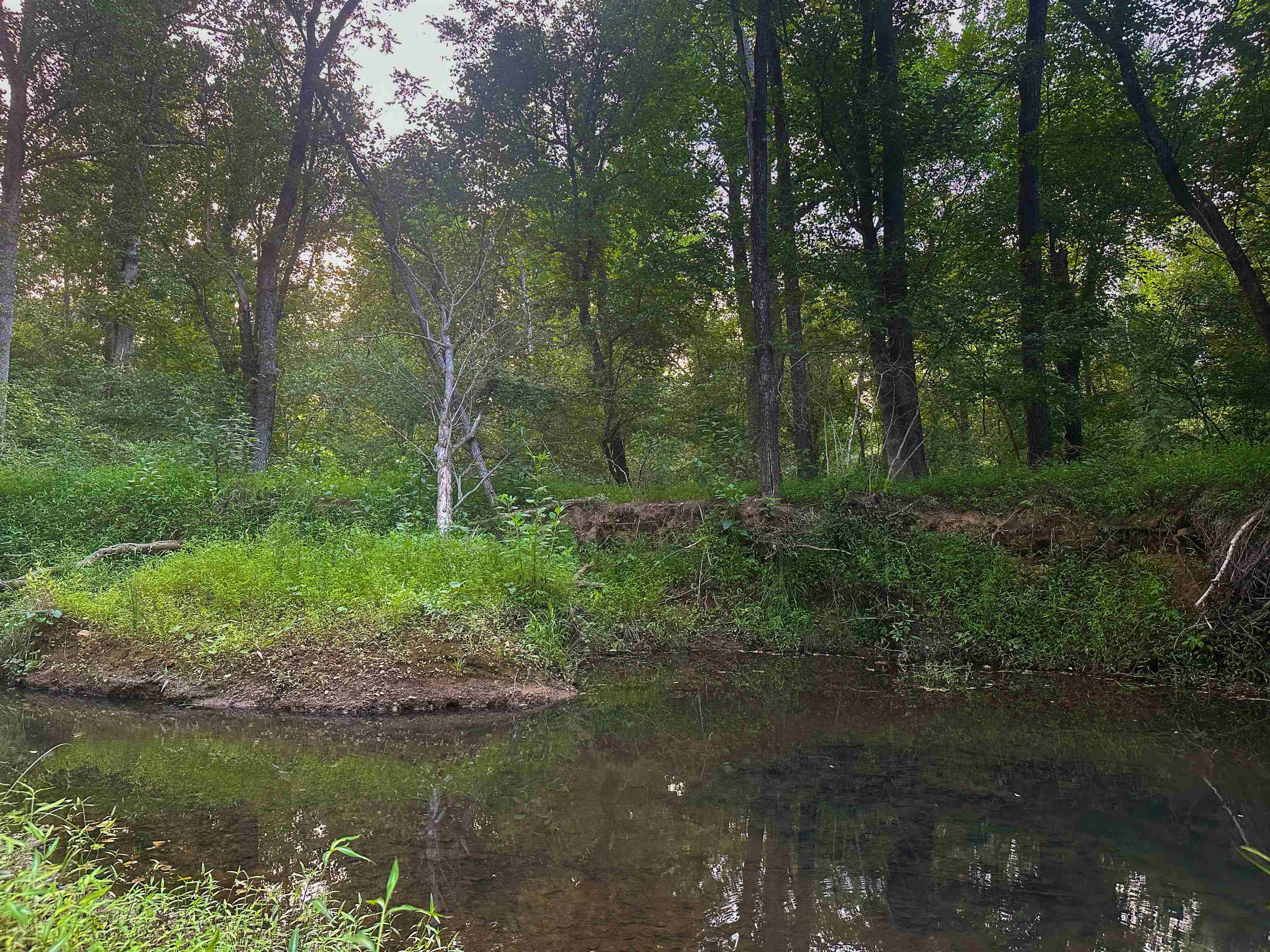 Lot 6 GILBERT STATION RD, BARBOURSVILLE, Virginia 22923, ,Land,14,Lot 6 GILBERT STATION RD,680432 MLS # 680432 Lot 6 GILBERT STATION RD, BARBOURSVILLE, Virginia 22923, ,Land,14,Lot 6 GILBERT STATION RD,680432 MLS # 680432