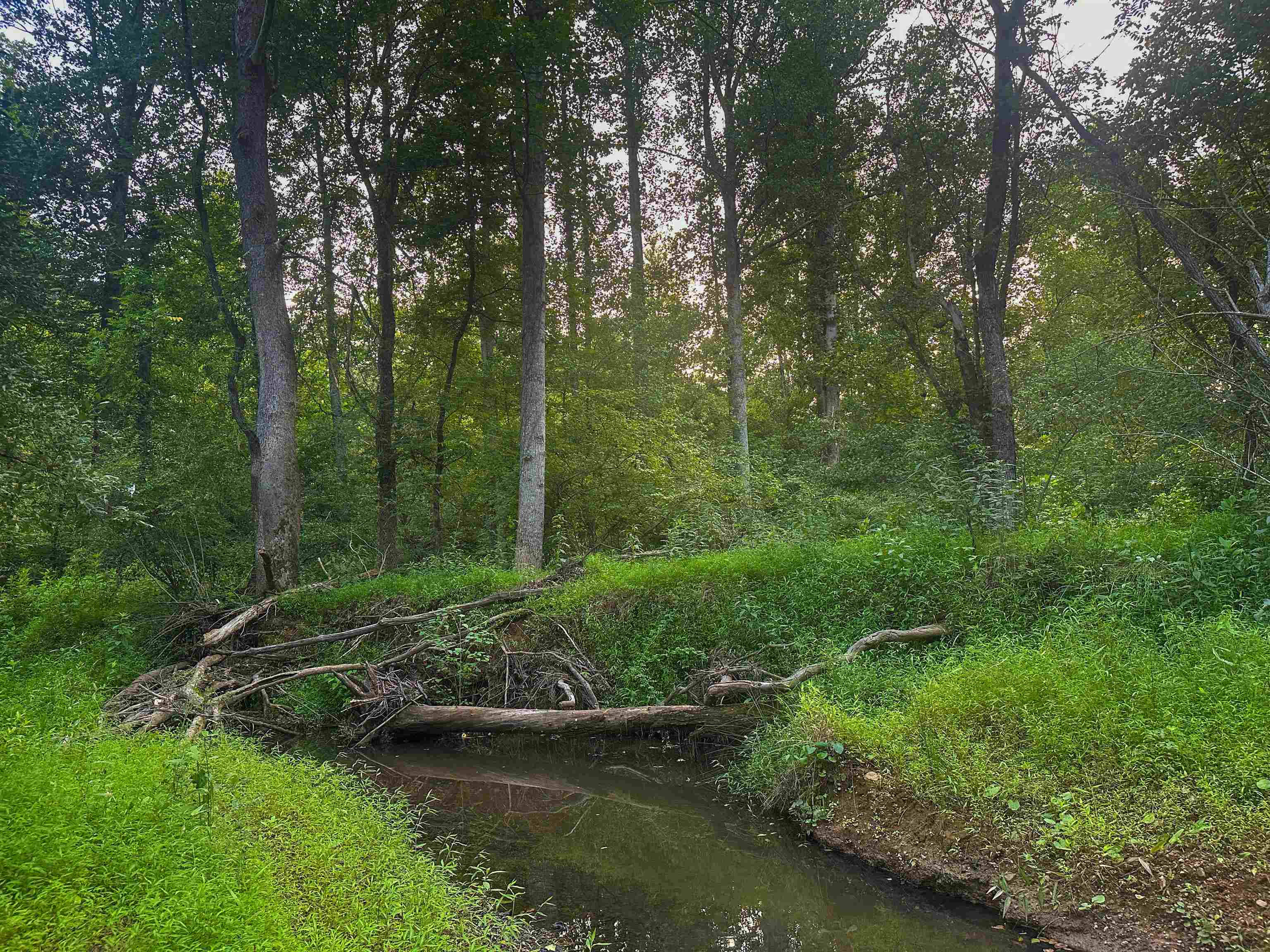 Lot 6 GILBERT STATION RD, BARBOURSVILLE, Virginia 22923, ,Land,14,Lot 6 GILBERT STATION RD,680432 MLS # 680432 Lot 6 GILBERT STATION RD, BARBOURSVILLE, Virginia 22923, ,Land,14,Lot 6 GILBERT STATION RD,680432 MLS # 680432