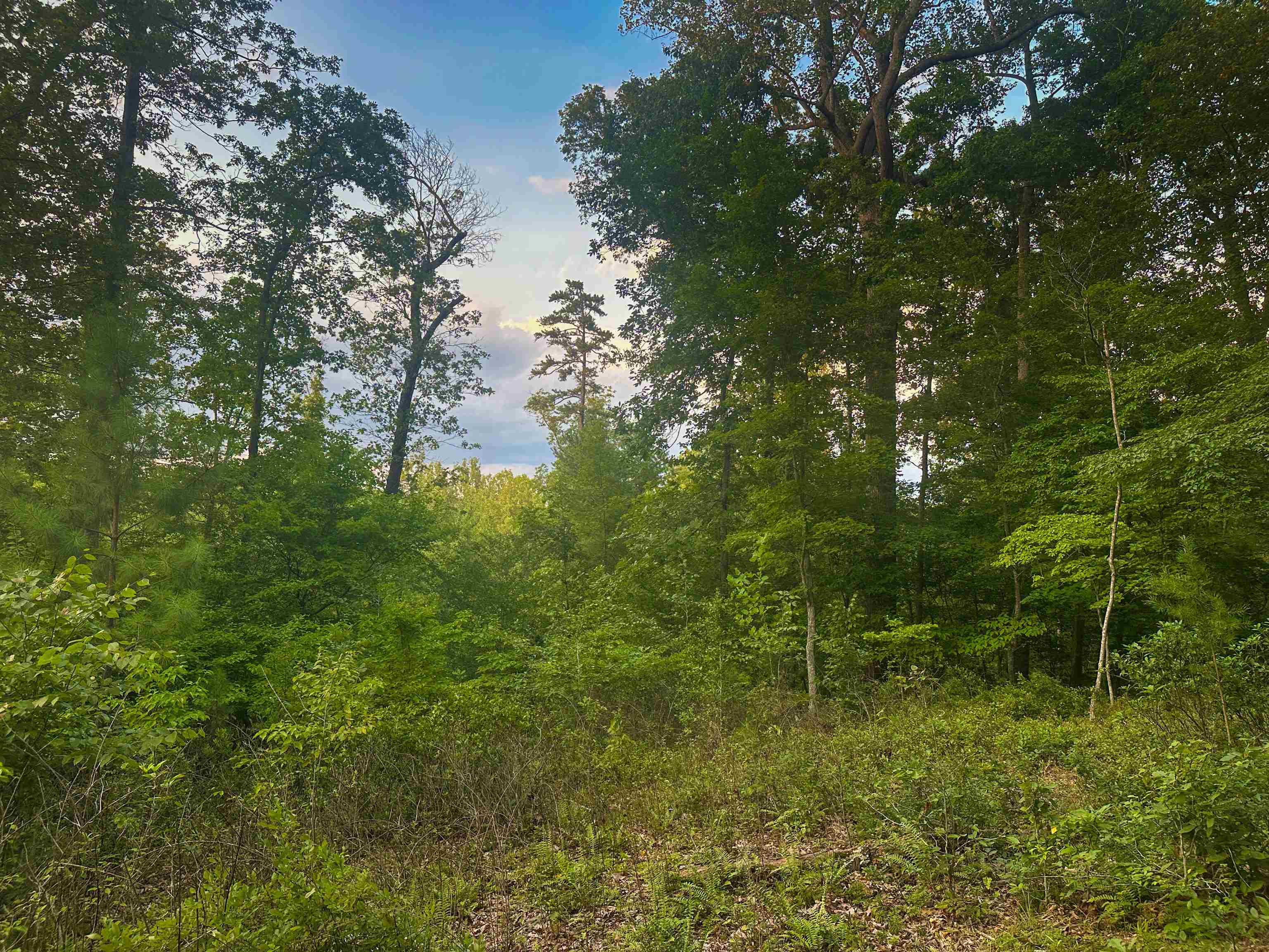Lot 6 GILBERT STATION RD, BARBOURSVILLE, Virginia 22923, ,Land,14,Lot 6 GILBERT STATION RD,680432 MLS # 680432 Lot 6 GILBERT STATION RD, BARBOURSVILLE, Virginia 22923, ,Land,14,Lot 6 GILBERT STATION RD,680432 MLS # 680432
