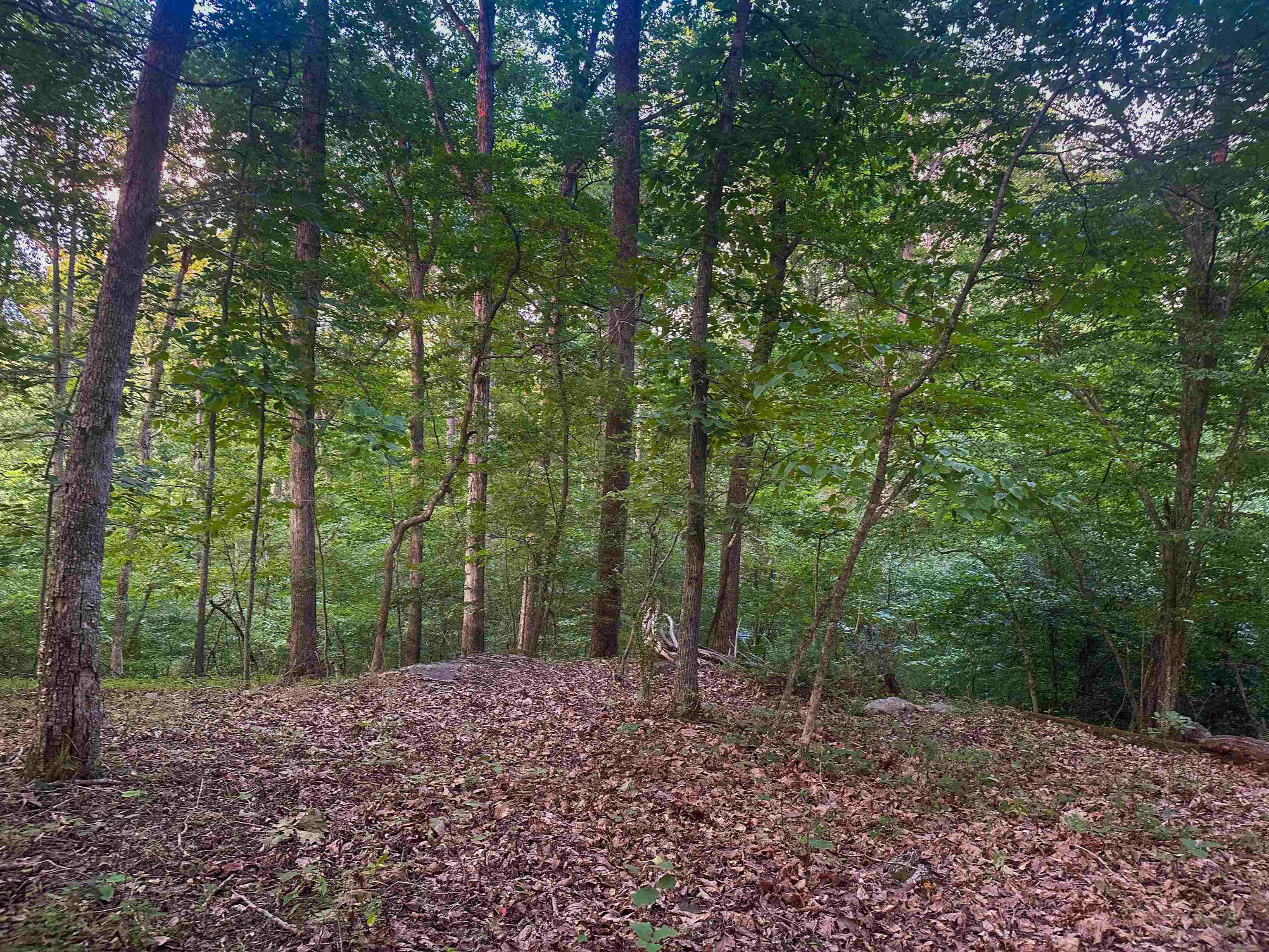 Lot 6 GILBERT STATION RD, BARBOURSVILLE, Virginia 22923, ,Land,14,Lot 6 GILBERT STATION RD,680432 MLS # 680432 Lot 6 GILBERT STATION RD, BARBOURSVILLE, Virginia 22923, ,Land,14,Lot 6 GILBERT STATION RD,680432 MLS # 680432