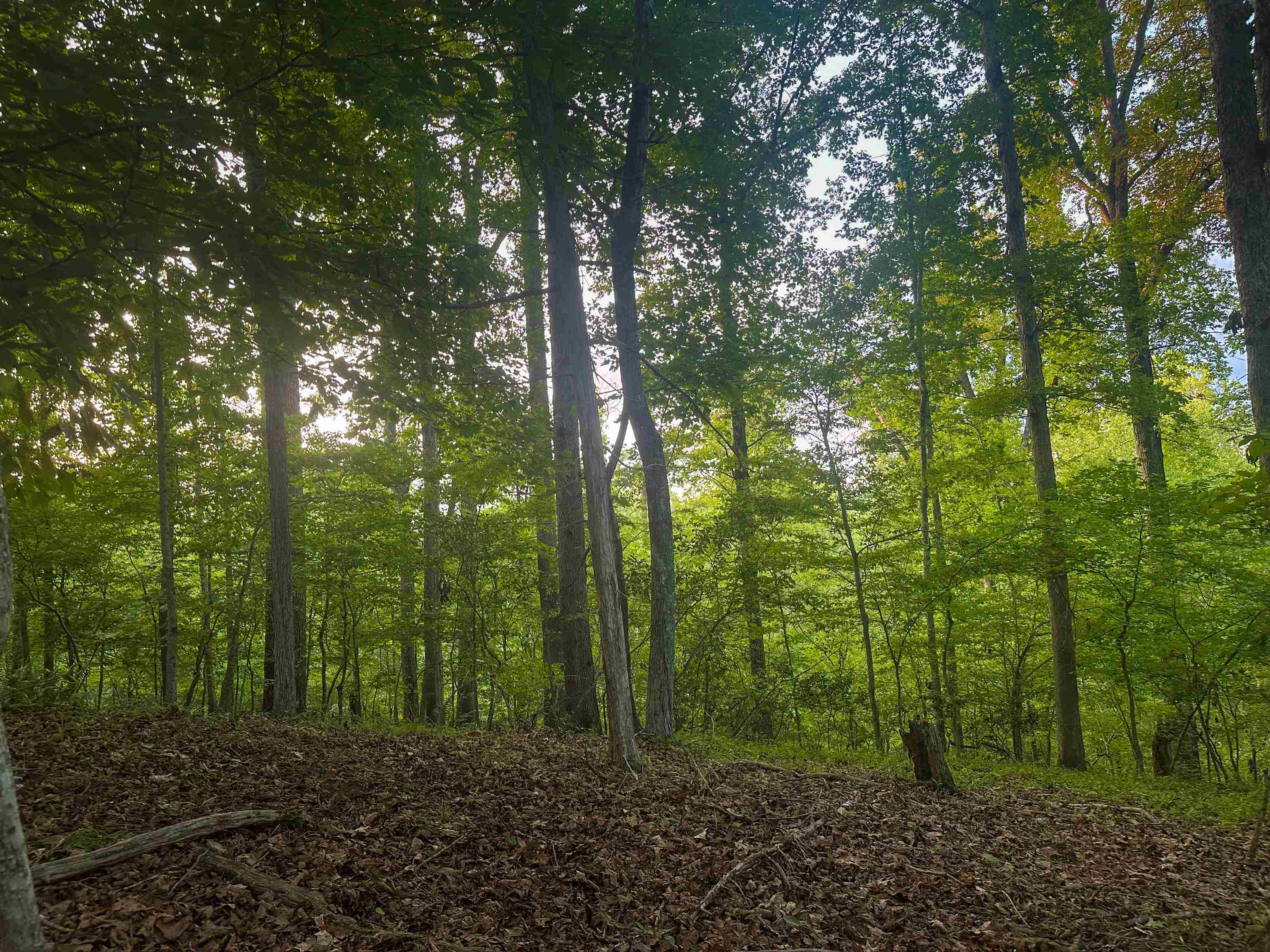 Lot 6 GILBERT STATION RD, BARBOURSVILLE, Virginia 22923, ,Land,14,Lot 6 GILBERT STATION RD,680432 MLS # 680432 Lot 6 GILBERT STATION RD, BARBOURSVILLE, Virginia 22923, ,Land,14,Lot 6 GILBERT STATION RD,680432 MLS # 680432