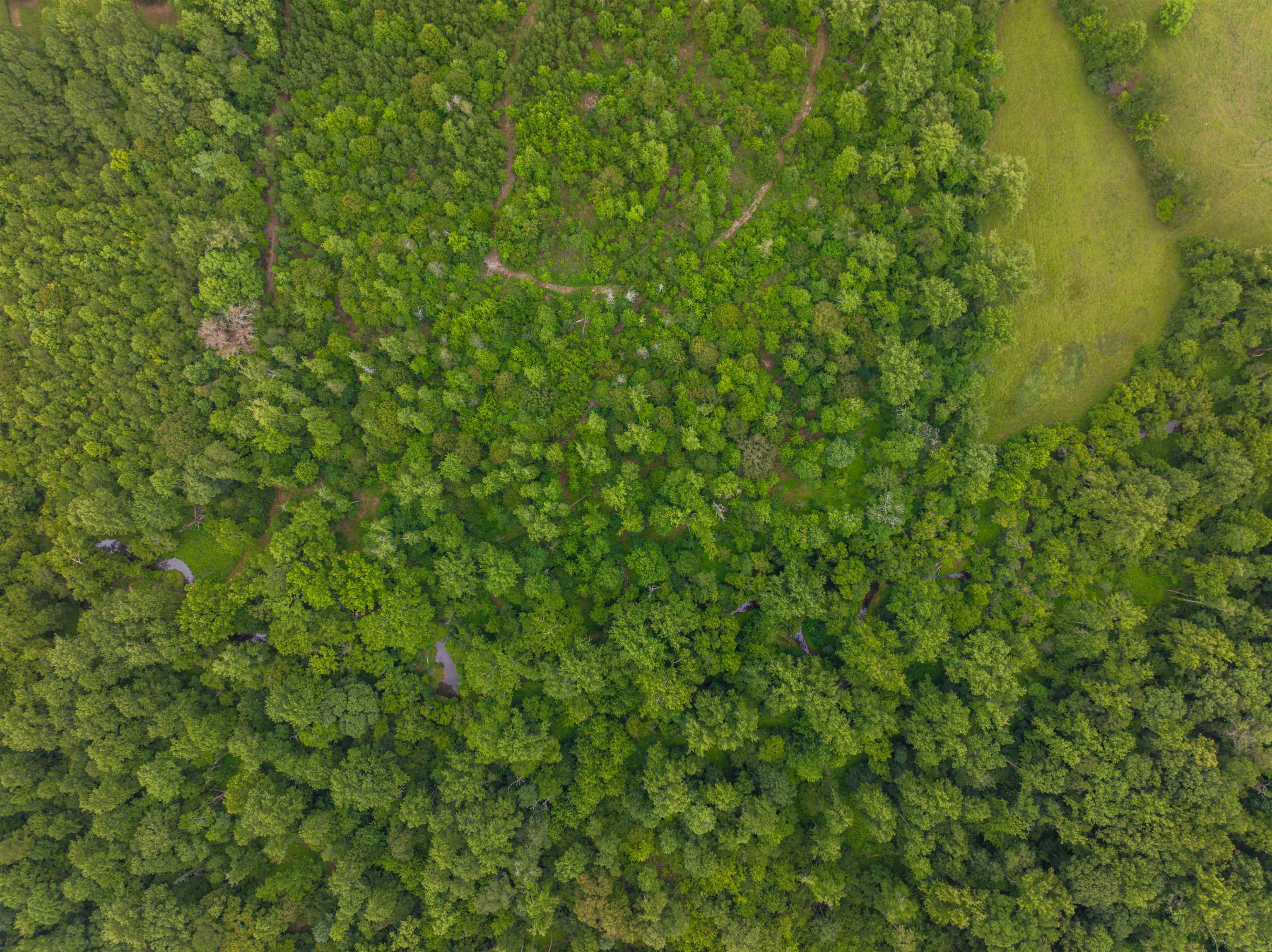 Lot 6 GILBERT STATION RD, BARBOURSVILLE, Virginia 22923, ,Land,14,Lot 6 GILBERT STATION RD,680432 MLS # 680432 Lot 6 GILBERT STATION RD, BARBOURSVILLE, Virginia 22923, ,Land,14,Lot 6 GILBERT STATION RD,680432 MLS # 680432