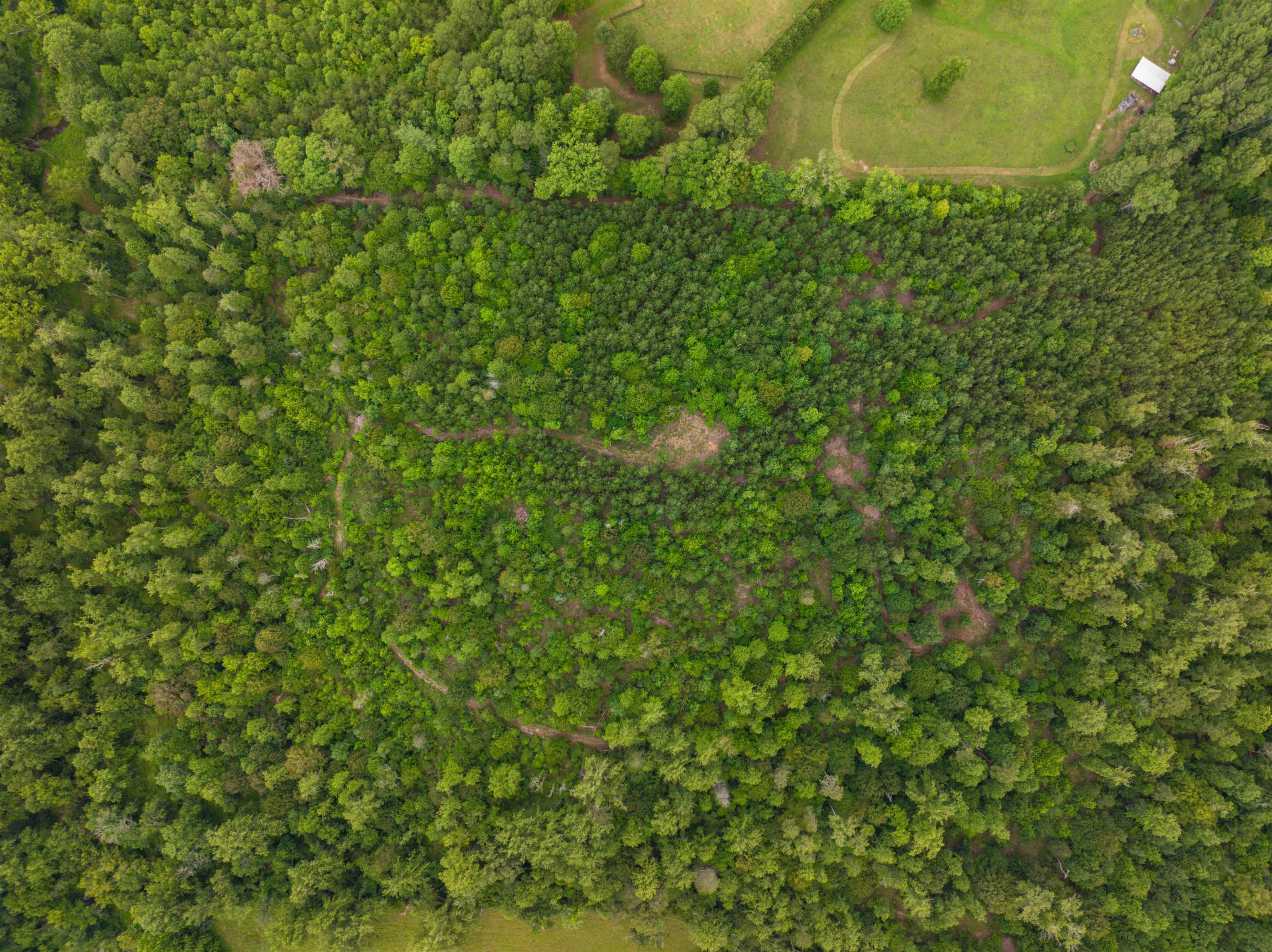 Lot 6 GILBERT STATION RD, BARBOURSVILLE, Virginia 22923, ,Land,14,Lot 6 GILBERT STATION RD,680432 MLS # 680432 Lot 6 GILBERT STATION RD, BARBOURSVILLE, Virginia 22923, ,Land,14,Lot 6 GILBERT STATION RD,680432 MLS # 680432