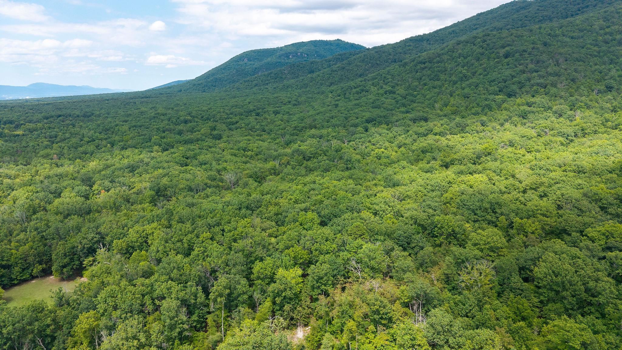 337 HORSEHEAD RD, GROTTOES, Virginia 24441, 2 Bedrooms Bedrooms, ,2 BathroomsBathrooms,Residential,14,337 HORSEHEAD RD,679934 MLS # 679934 337 HORSEHEAD RD, GROTTOES, Virginia 24441, 2 Bedrooms Bedrooms, ,2 BathroomsBathrooms,Residential,14,337 HORSEHEAD RD,679934 MLS # 679934