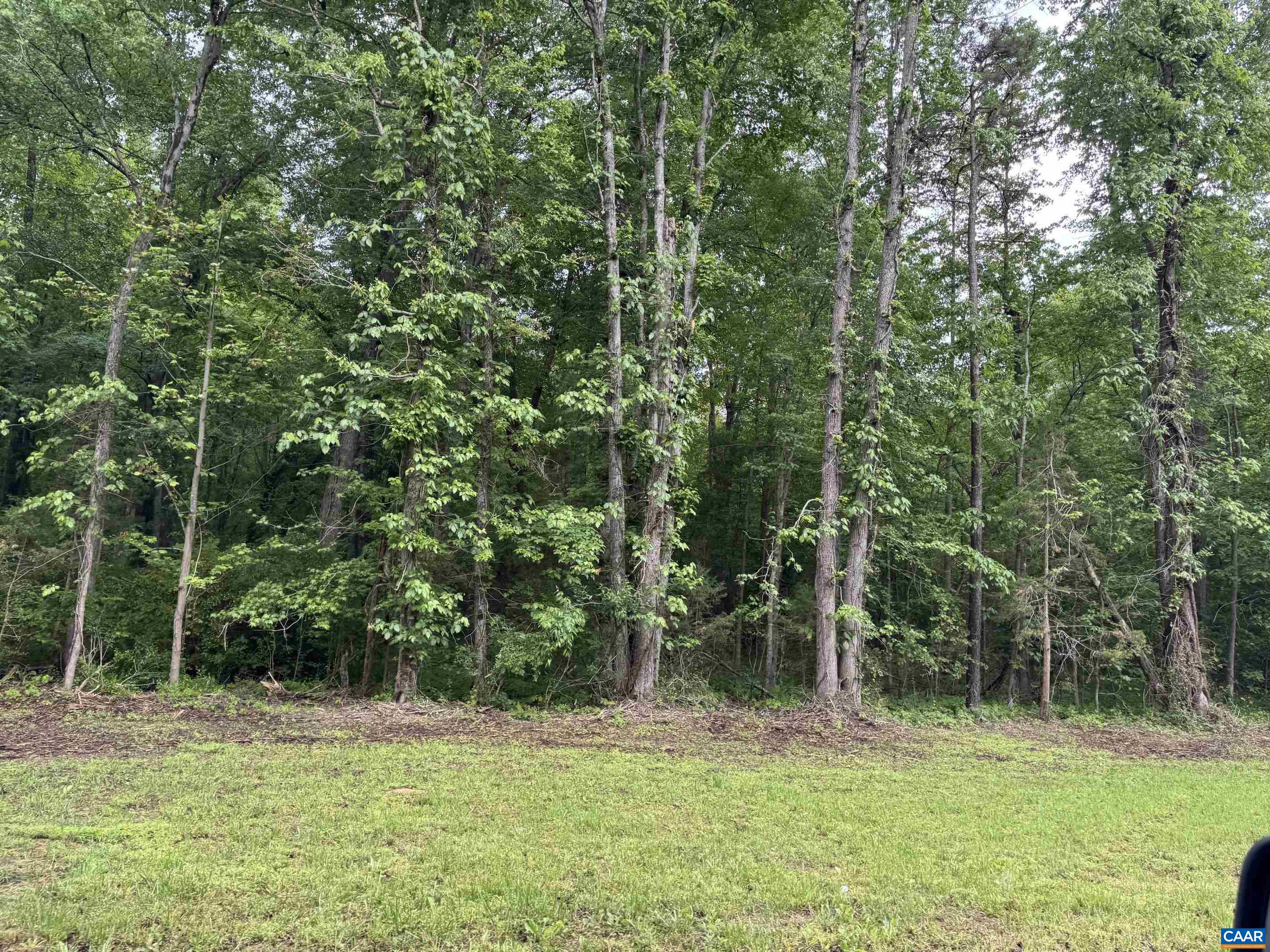 0 W JACK JOUETT RD, ZION CROSSROADS, Virginia 22942, ,Land,14,0 W JACK JOUETT RD,676863 MLS # 676863 0 W JACK JOUETT RD, ZION CROSSROADS, Virginia 22942, ,Land,14,0 W JACK JOUETT RD,676863 MLS # 676863