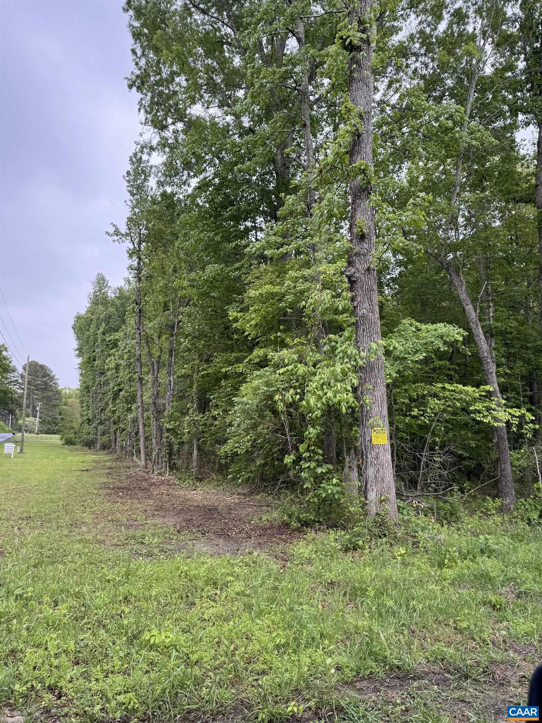 0 W JACK JOUETT RD, ZION CROSSROADS, Virginia 22942, ,Land,14,0 W JACK JOUETT RD,676863 MLS # 676863 0 W JACK JOUETT RD, ZION CROSSROADS, Virginia 22942, ,Land,14,0 W JACK JOUETT RD,676863 MLS # 676863