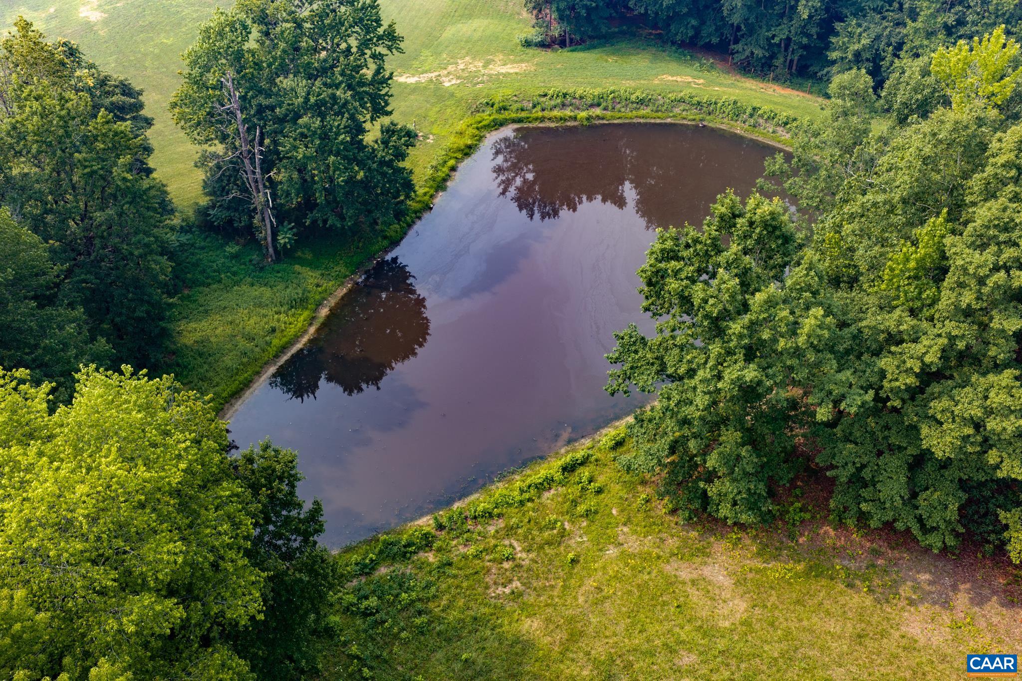 2353 HOLLAND CREEK RD, LOUISA, Virginia 23093, 3 Bedrooms Bedrooms, ,2 BathroomsBathrooms,Residential,14,2353 HOLLAND CREEK RD,679886 MLS # 679886 2353 HOLLAND CREEK RD, LOUISA, Virginia 23093, 3 Bedrooms Bedrooms, ,2 BathroomsBathrooms,Residential,14,2353 HOLLAND CREEK RD,679886 MLS # 679886