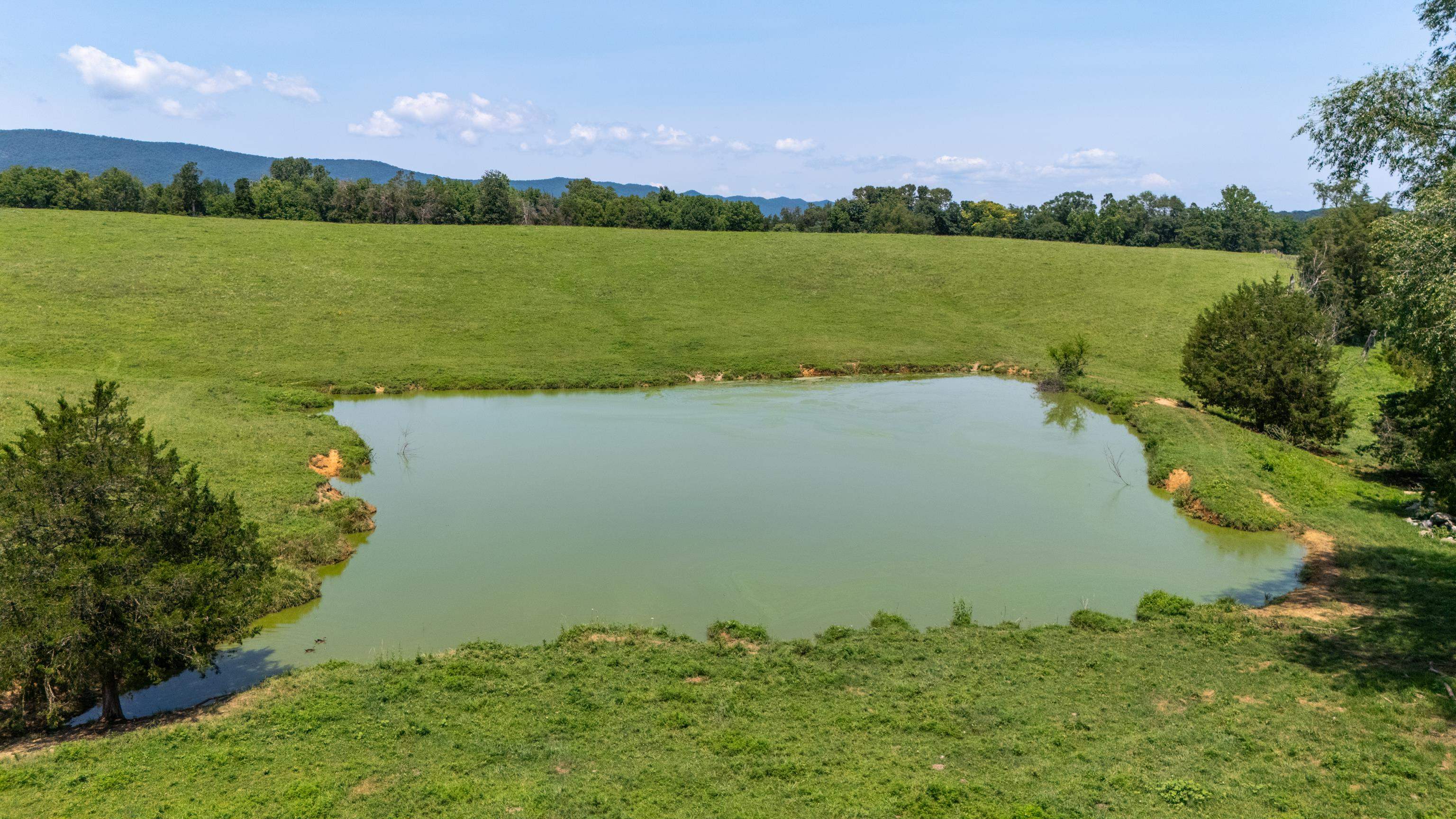 4381 US HWY 340, LURAY, Virginia 22835, 5 Bedrooms Bedrooms, ,2 BathroomsBathrooms,Residential,14,4381 US HWY 340,680475 MLS # 680475 4381 US HWY 340, LURAY, Virginia 22835, 5 Bedrooms Bedrooms, ,2 BathroomsBathrooms,Residential,14,4381 US HWY 340,680475 MLS # 680475