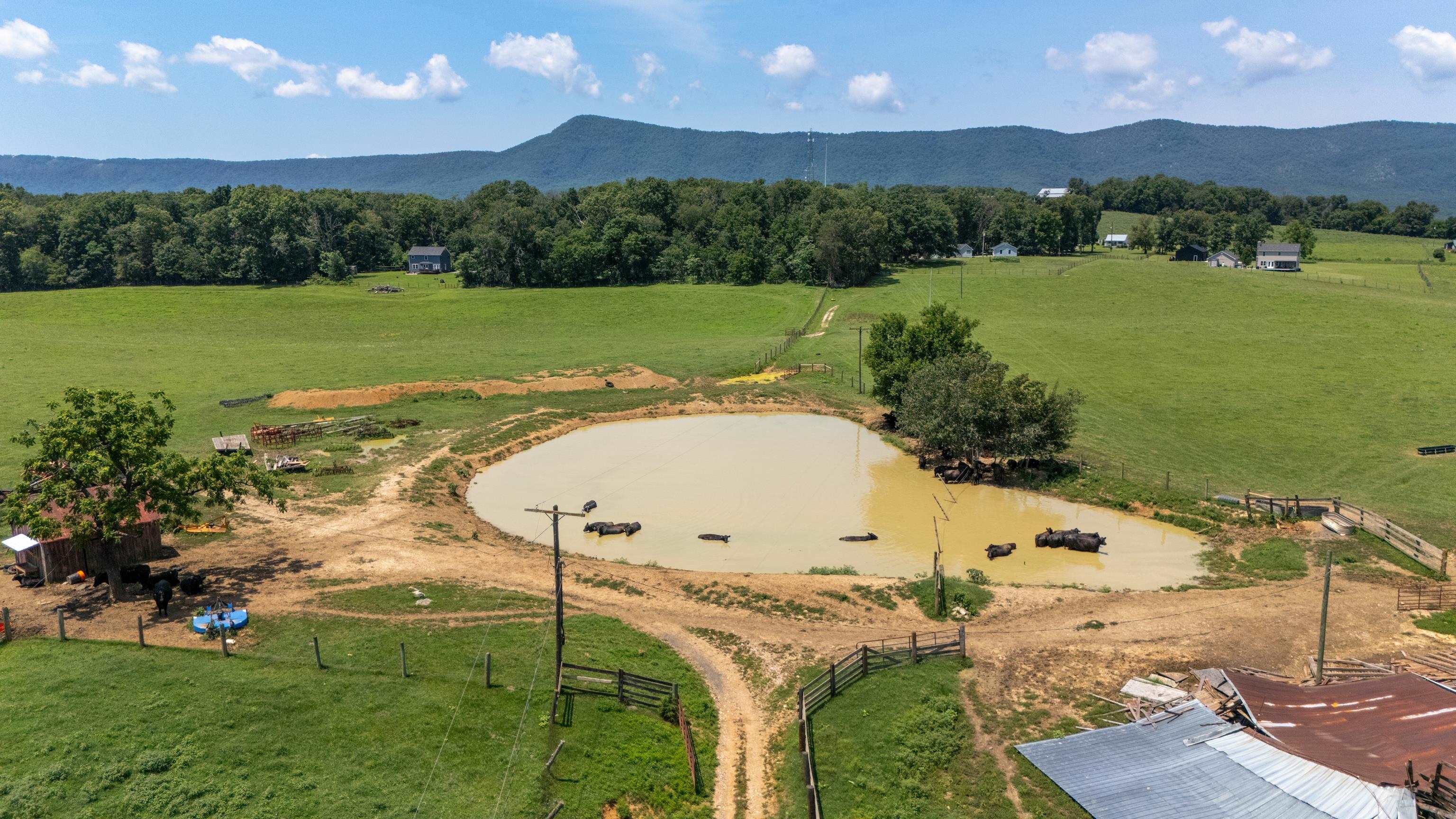 4381 US HWY 340, LURAY, Virginia 22835, 5 Bedrooms Bedrooms, ,2 BathroomsBathrooms,Residential,14,4381 US HWY 340,680475 MLS # 680475 4381 US HWY 340, LURAY, Virginia 22835, 5 Bedrooms Bedrooms, ,2 BathroomsBathrooms,Residential,14,4381 US HWY 340,680475 MLS # 680475