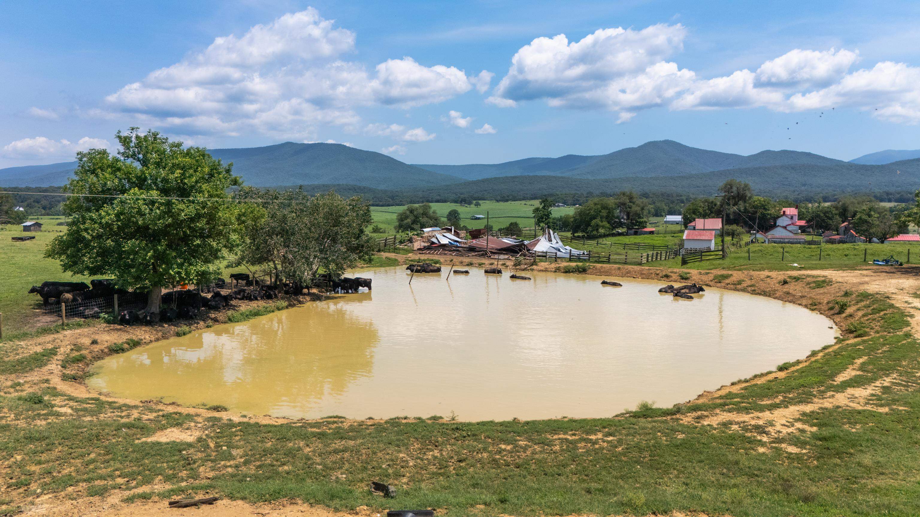 4381 US HWY 340, LURAY, Virginia 22835, 5 Bedrooms Bedrooms, ,2 BathroomsBathrooms,Residential,14,4381 US HWY 340,680475 MLS # 680475 4381 US HWY 340, LURAY, Virginia 22835, 5 Bedrooms Bedrooms, ,2 BathroomsBathrooms,Residential,14,4381 US HWY 340,680475 MLS # 680475
