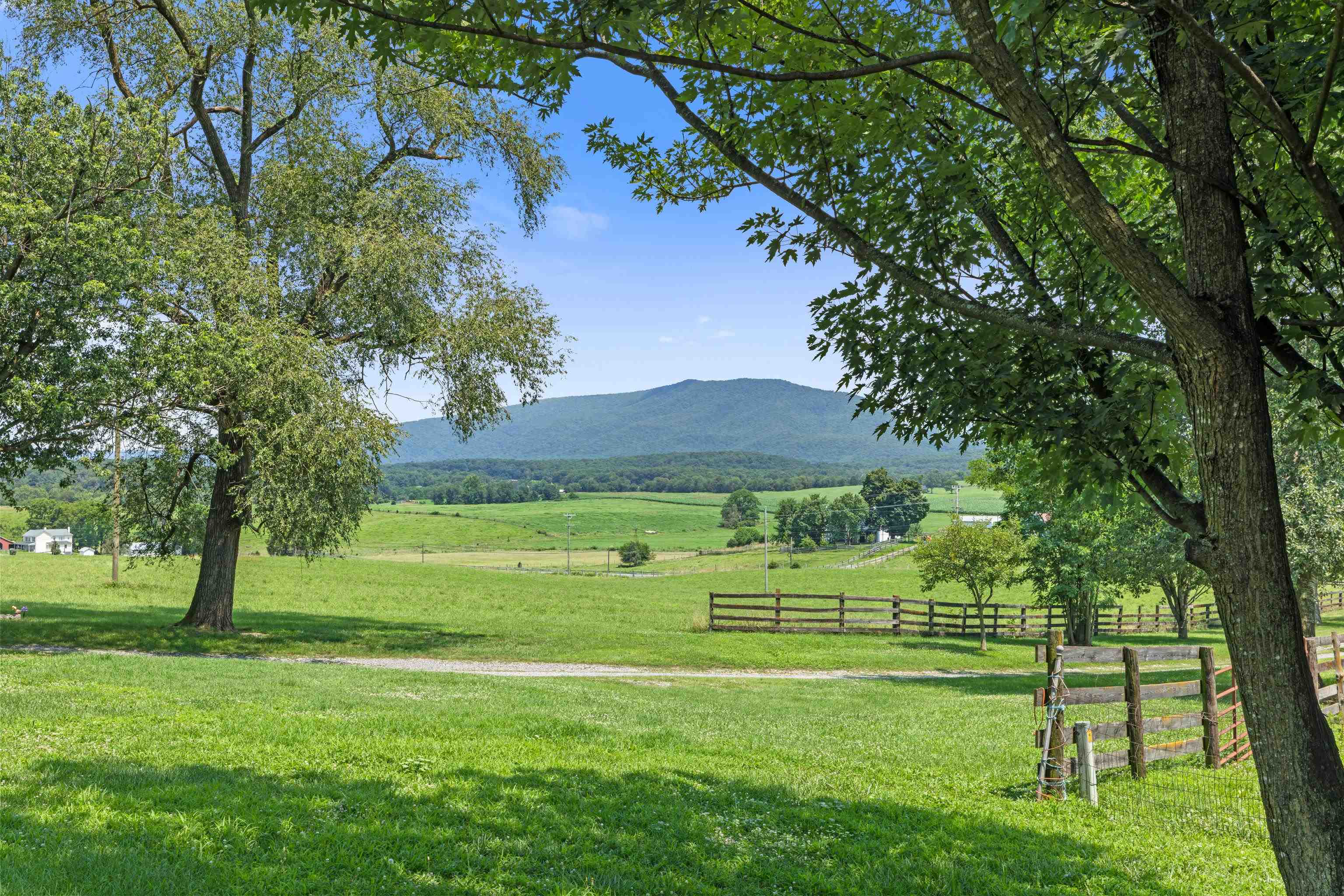 4381 US HWY 340, LURAY, Virginia 22835, 5 Bedrooms Bedrooms, ,2 BathroomsBathrooms,Residential,14,4381 US HWY 340,680475 MLS # 680475 4381 US HWY 340, LURAY, Virginia 22835, 5 Bedrooms Bedrooms, ,2 BathroomsBathrooms,Residential,14,4381 US HWY 340,680475 MLS # 680475