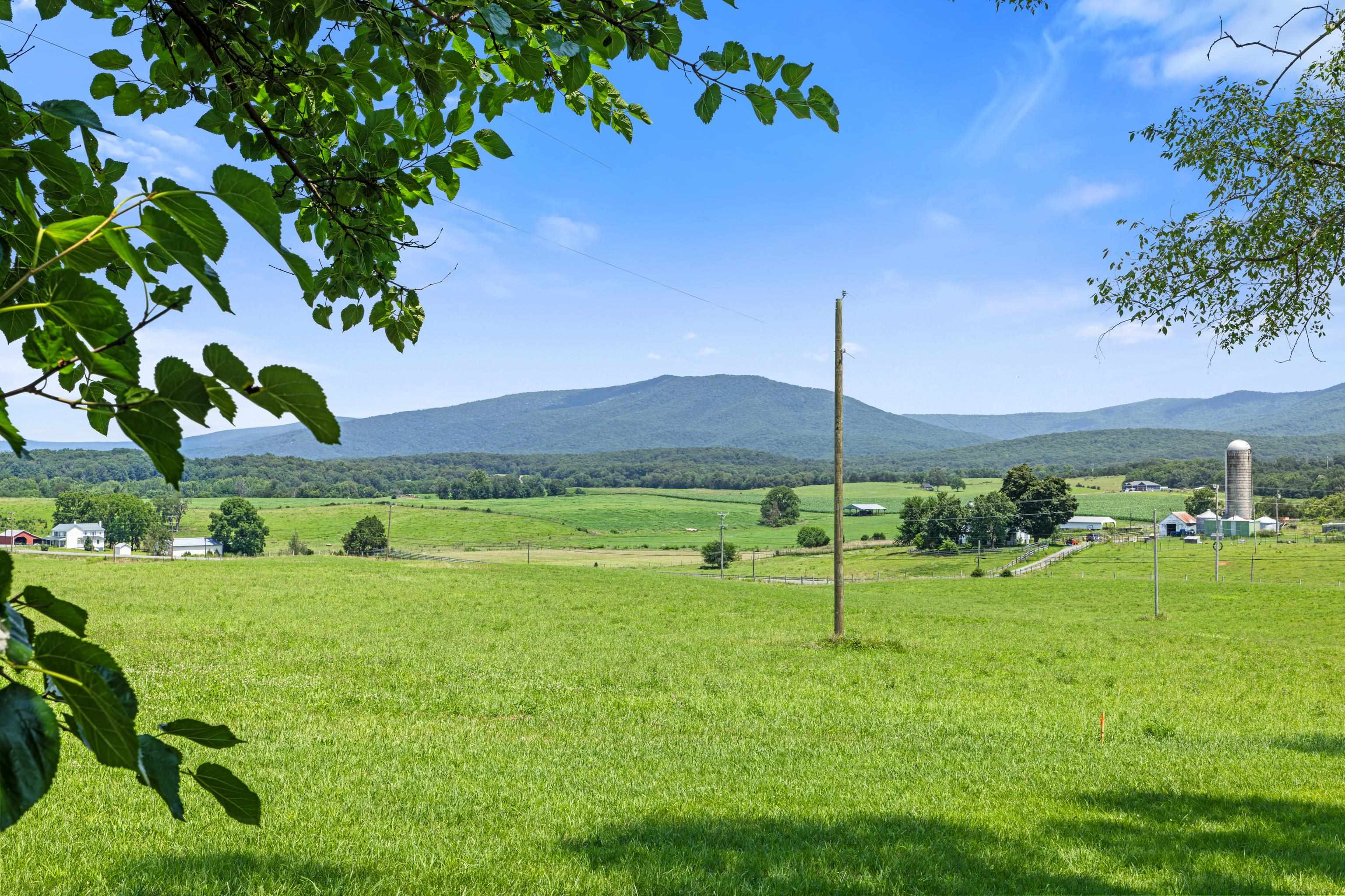 4381 US HWY 340, LURAY, Virginia 22835, 5 Bedrooms Bedrooms, ,2 BathroomsBathrooms,Residential,14,4381 US HWY 340,680475 MLS # 680475 4381 US HWY 340, LURAY, Virginia 22835, 5 Bedrooms Bedrooms, ,2 BathroomsBathrooms,Residential,14,4381 US HWY 340,680475 MLS # 680475