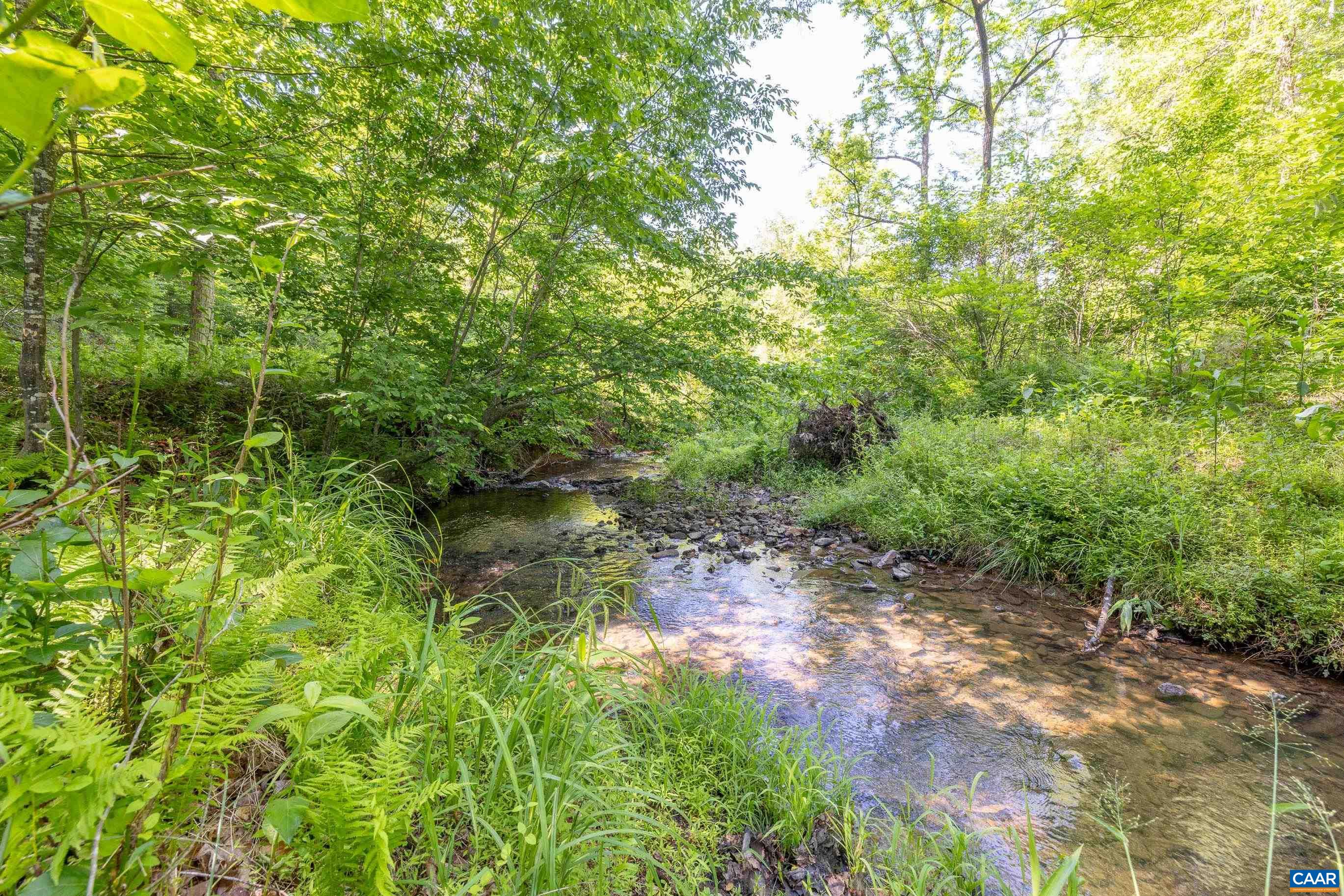 7676 OLD DOMINION RD, SCHUYLER, Virginia 22969, ,Land,14,7676 OLD DOMINION RD,677832 MLS # 677832