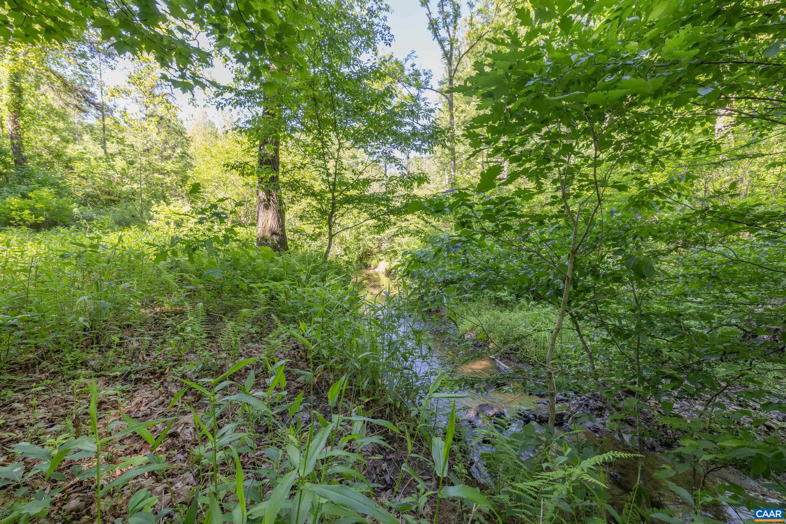 7676 OLD DOMINION RD, SCHUYLER, Virginia 22969, ,Land,14,7676 OLD DOMINION RD,677832 MLS # 677832