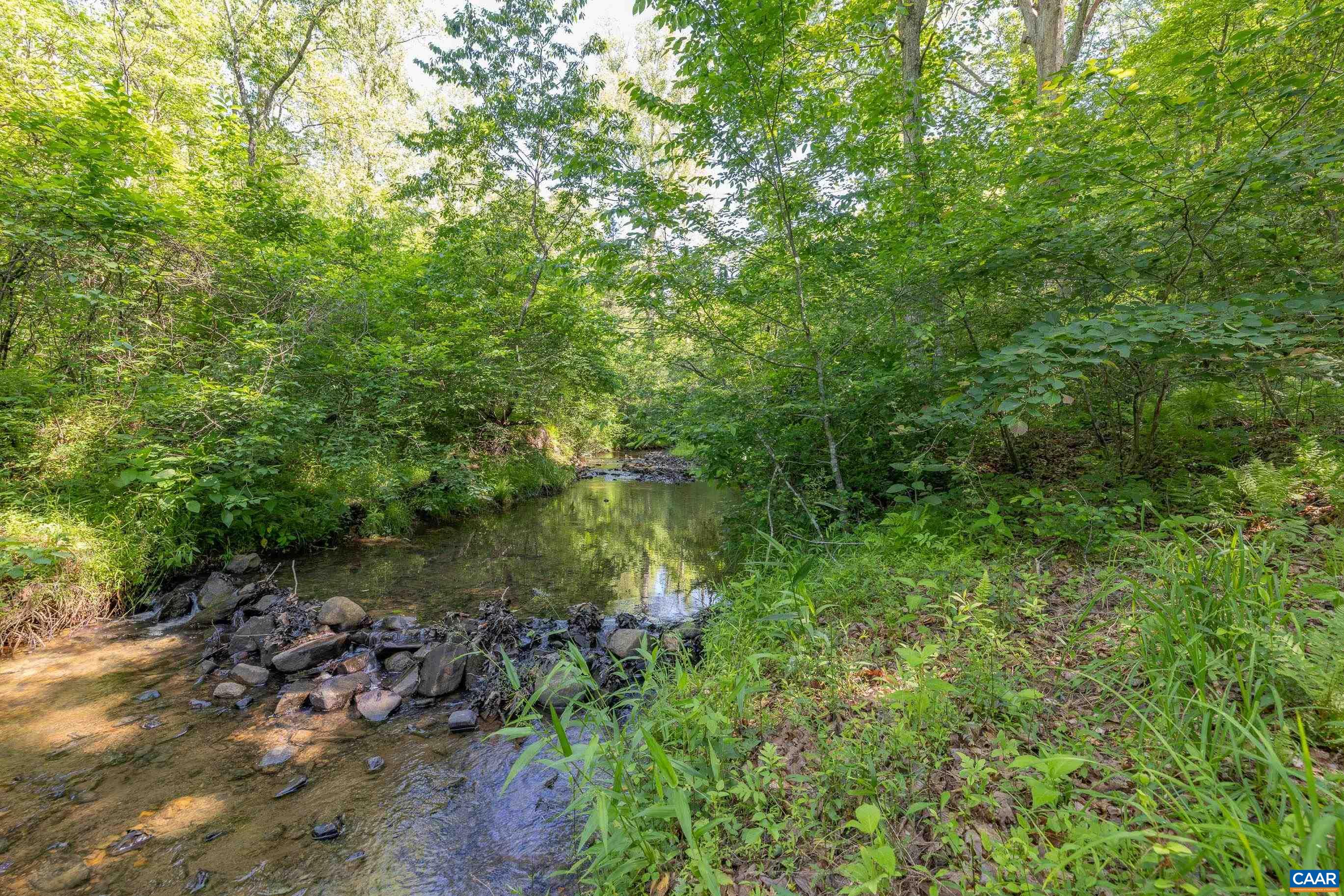 7676 OLD DOMINION RD, SCHUYLER, Virginia 22969, ,Land,14,7676 OLD DOMINION RD,677832 MLS # 677832