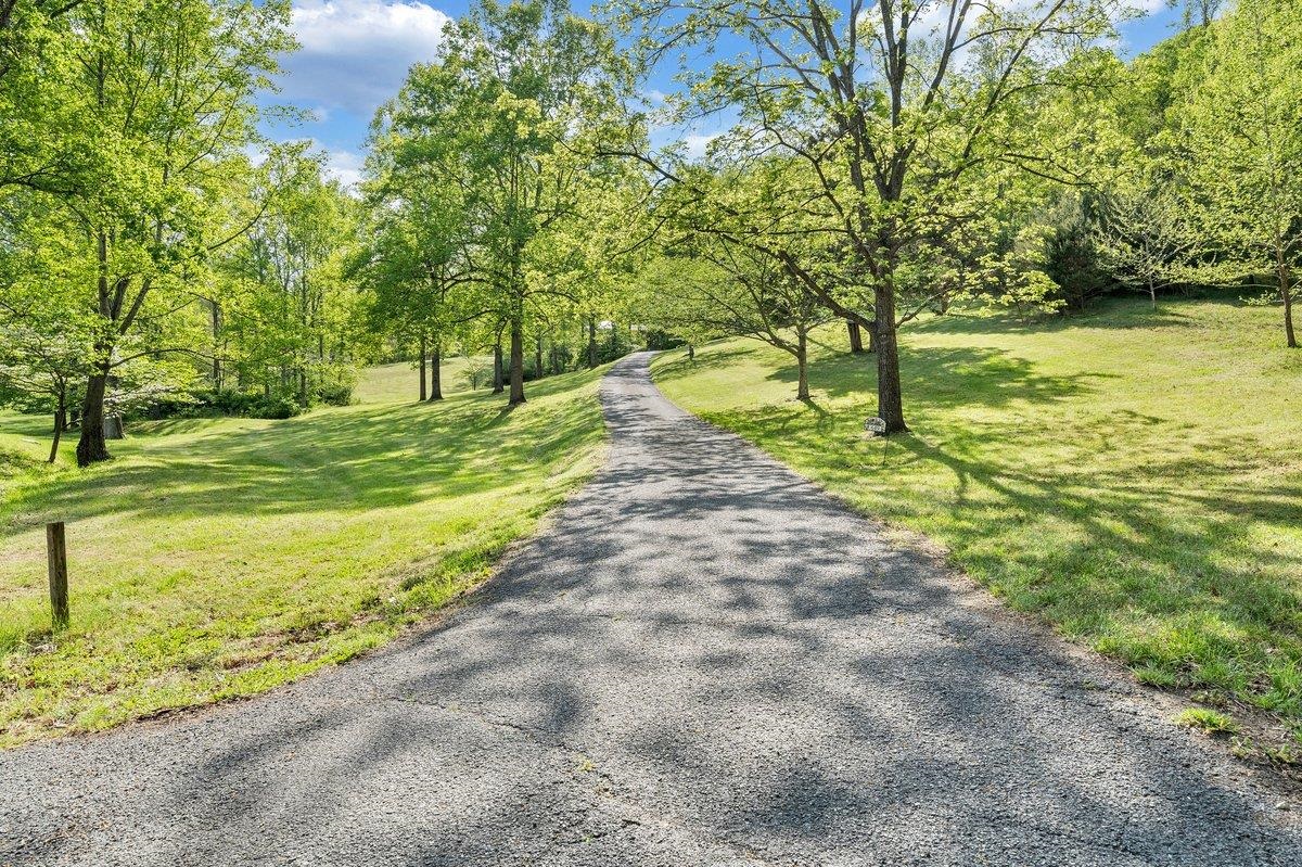 649 GREYLEDGE RD, BUCHANAN, Virginia 24066, 3 Bedrooms Bedrooms, ,4 BathroomsBathrooms,Residential,14,649 GREYLEDGE RD,676201 MLS # 676201 649 GREYLEDGE RD, BUCHANAN, Virginia 24066, 3 Bedrooms Bedrooms, ,4 BathroomsBathrooms,Residential,14,649 GREYLEDGE RD,676201 MLS # 676201