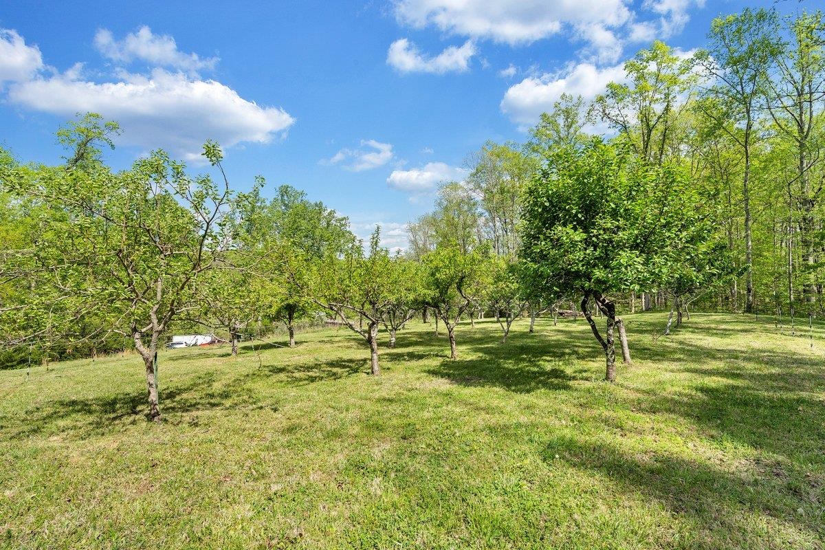 649 GREYLEDGE RD, BUCHANAN, Virginia 24066, 3 Bedrooms Bedrooms, ,4 BathroomsBathrooms,Residential,14,649 GREYLEDGE RD,676201 MLS # 676201 649 GREYLEDGE RD, BUCHANAN, Virginia 24066, 3 Bedrooms Bedrooms, ,4 BathroomsBathrooms,Residential,14,649 GREYLEDGE RD,676201 MLS # 676201