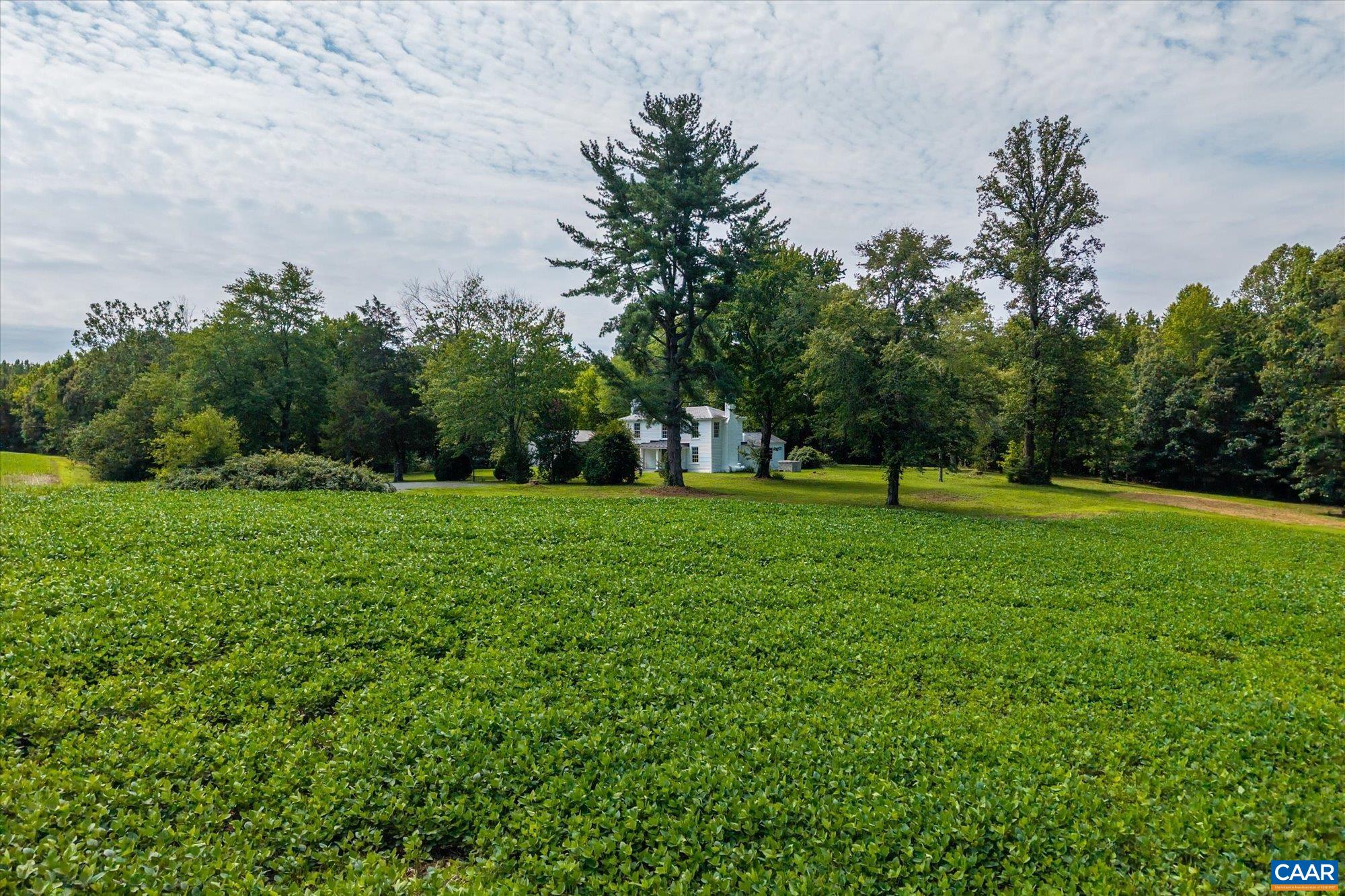 1663 WILMINGTON RD, PALMYRA, Virginia 22963, 3 Bedrooms Bedrooms, ,2 BathroomsBathrooms,Residential,14,1663 WILMINGTON RD,680063 MLS # 680063 1663 WILMINGTON RD, PALMYRA, Virginia 22963, 3 Bedrooms Bedrooms, ,2 BathroomsBathrooms,Residential,14,1663 WILMINGTON RD,680063 MLS # 680063