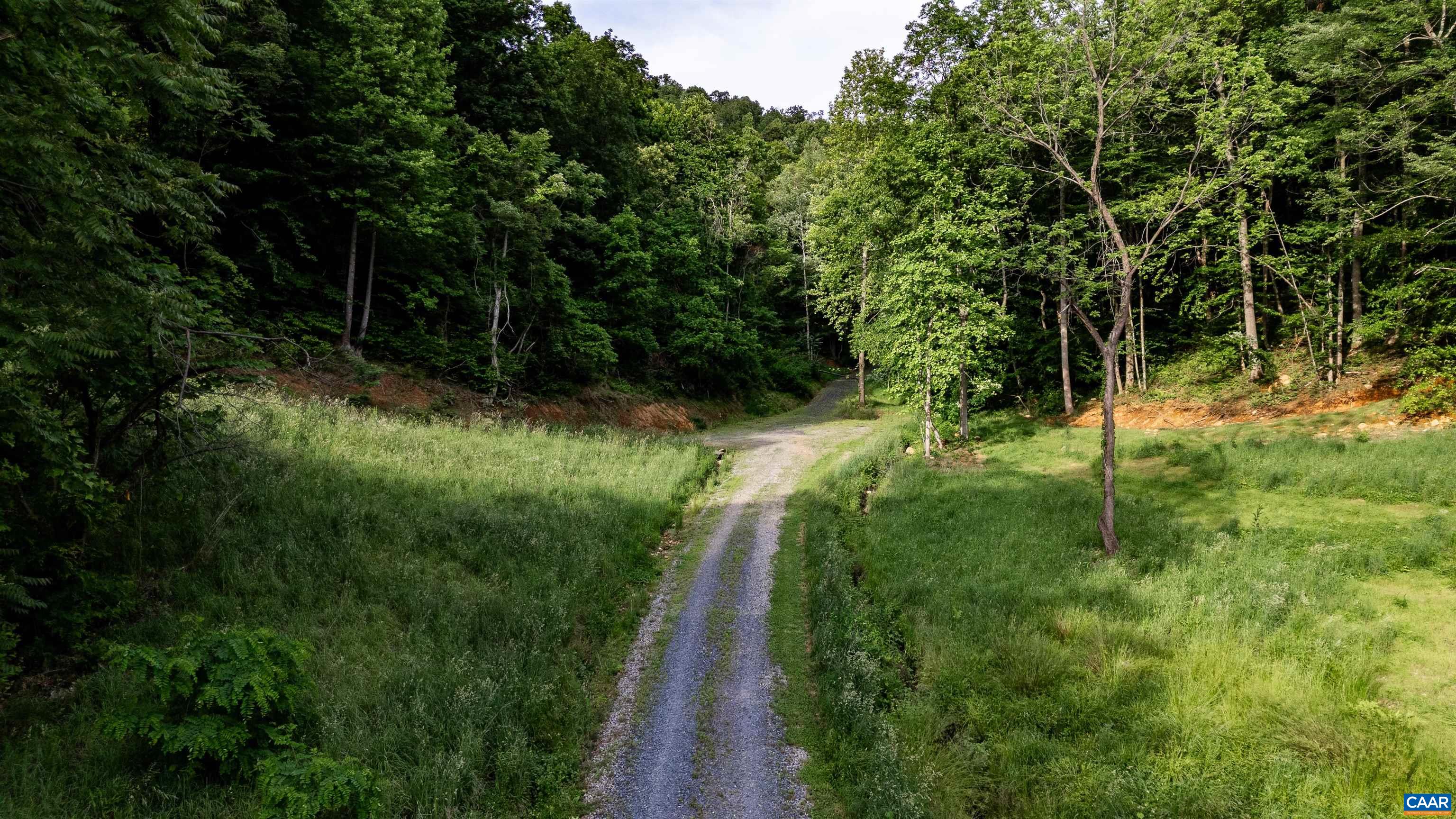 1390 PERKINS HOLLOW LN, FABER, Virginia 22938, ,Farm,14,1390 PERKINS HOLLOW LN,677213 MLS # 677213 1390 PERKINS HOLLOW LN, FABER, Virginia 22938, ,Farm,14,1390 PERKINS HOLLOW LN,677213 MLS # 677213
