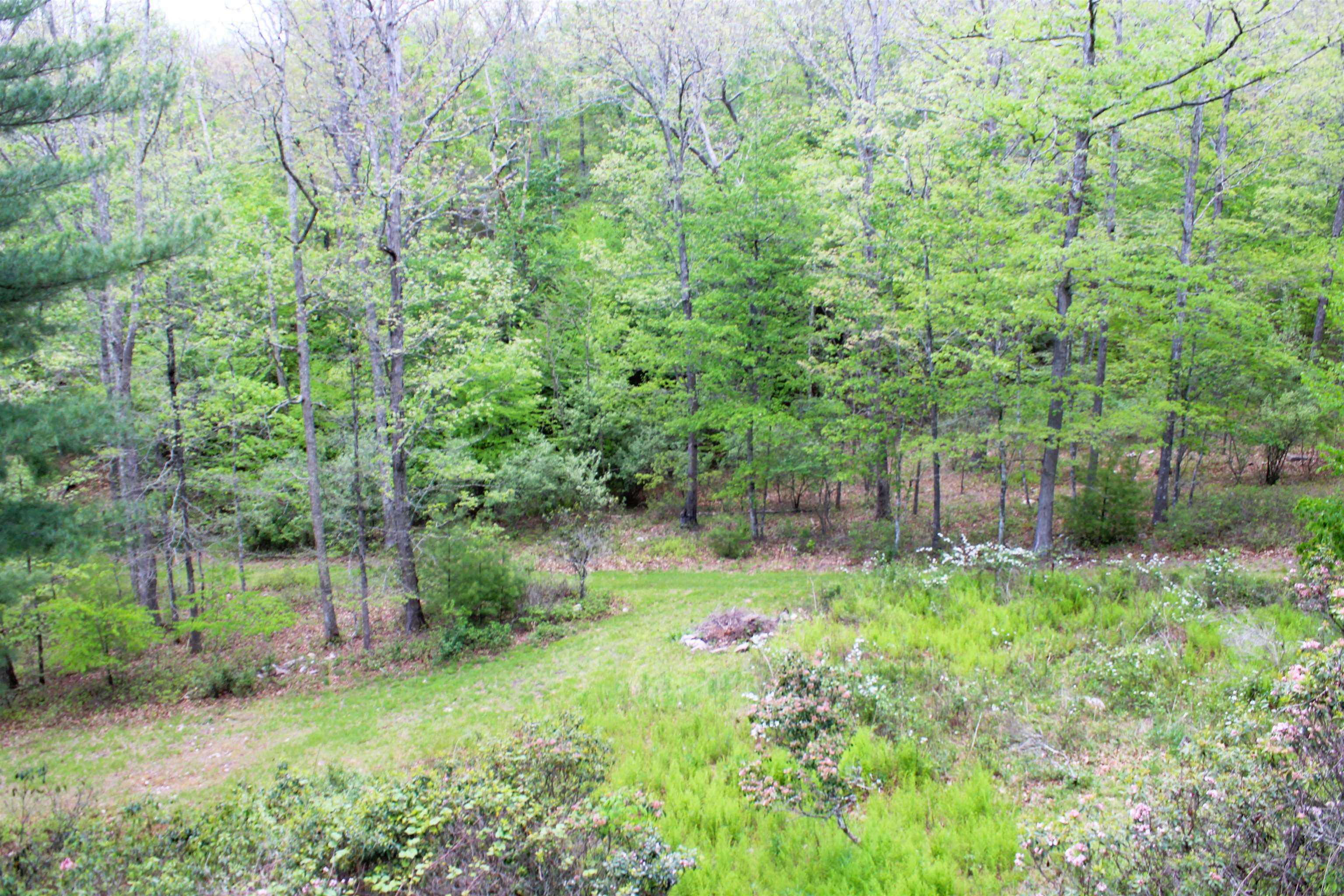 625 HUMMINGBIRD LN, MONTEREY, Virginia 24465, 3 Bedrooms Bedrooms, ,3 BathroomsBathrooms,Residential,14,625 HUMMINGBIRD LN,673771 MLS # 673771 625 HUMMINGBIRD LN, MONTEREY, Virginia 24465, 3 Bedrooms Bedrooms, ,3 BathroomsBathrooms,Residential,14,625 HUMMINGBIRD LN,673771 MLS # 673771