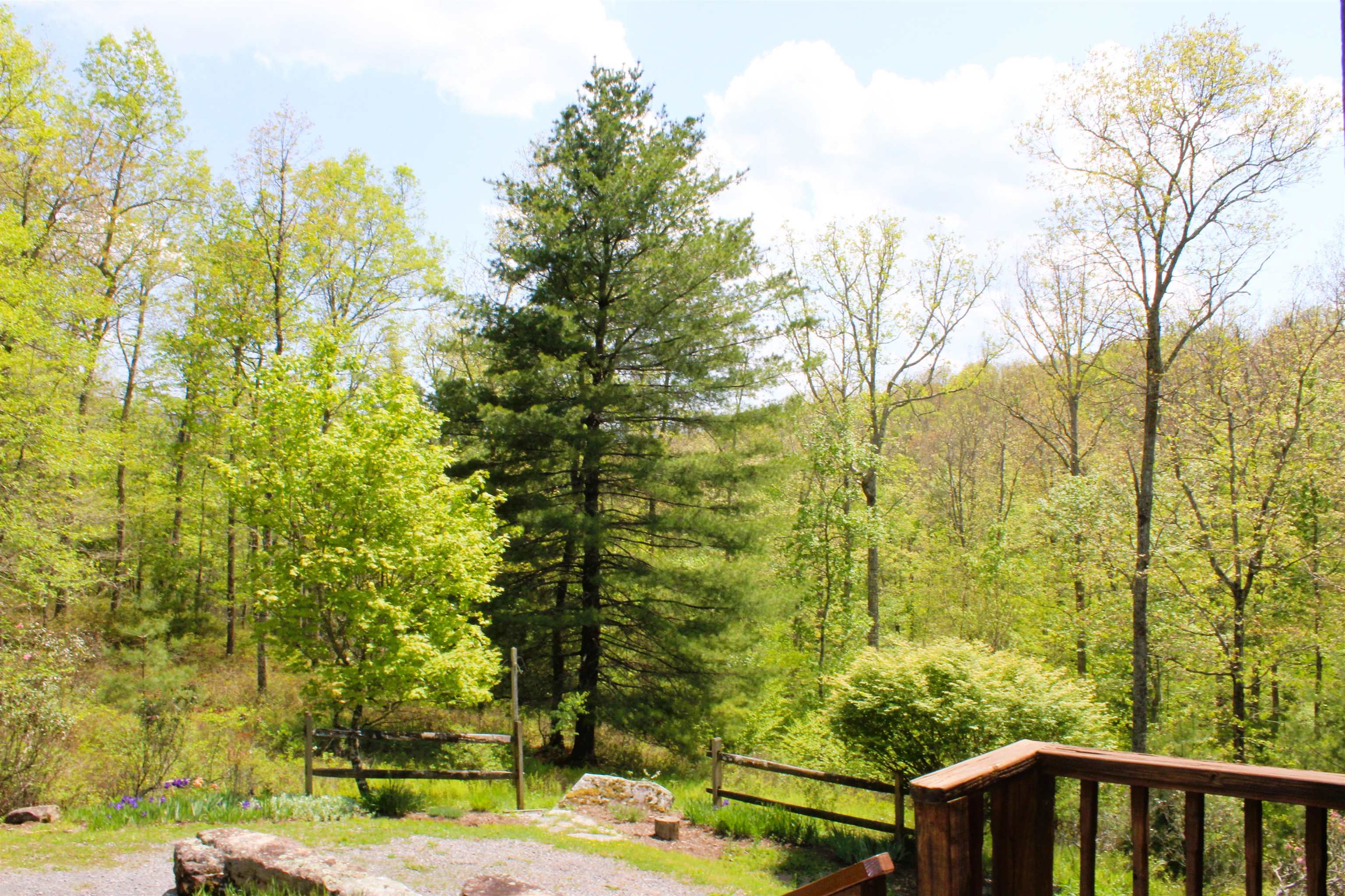 625 HUMMINGBIRD LN, MONTEREY, Virginia 24465, 3 Bedrooms Bedrooms, ,3 BathroomsBathrooms,Residential,14,625 HUMMINGBIRD LN,673771 MLS # 673771 625 HUMMINGBIRD LN, MONTEREY, Virginia 24465, 3 Bedrooms Bedrooms, ,3 BathroomsBathrooms,Residential,14,625 HUMMINGBIRD LN,673771 MLS # 673771